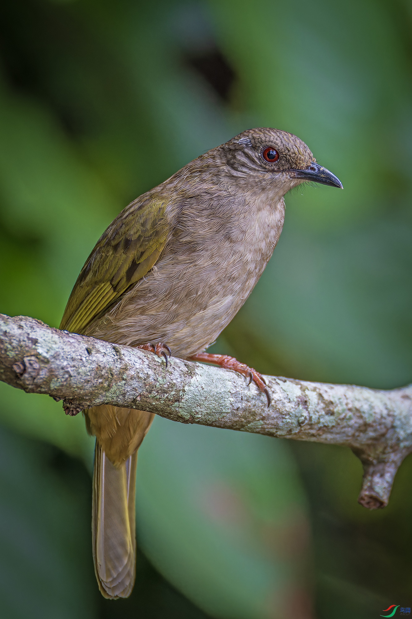 _97A8467-CR3 copy.jpg