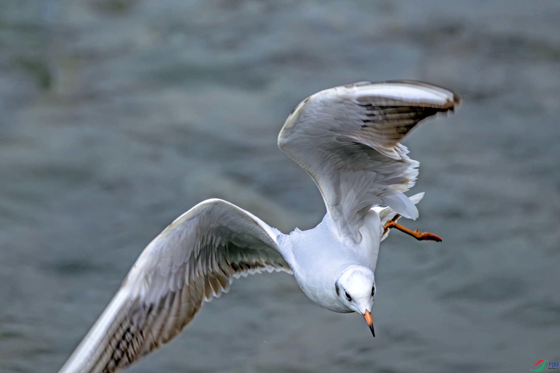 ZDS_4976 0.jpg