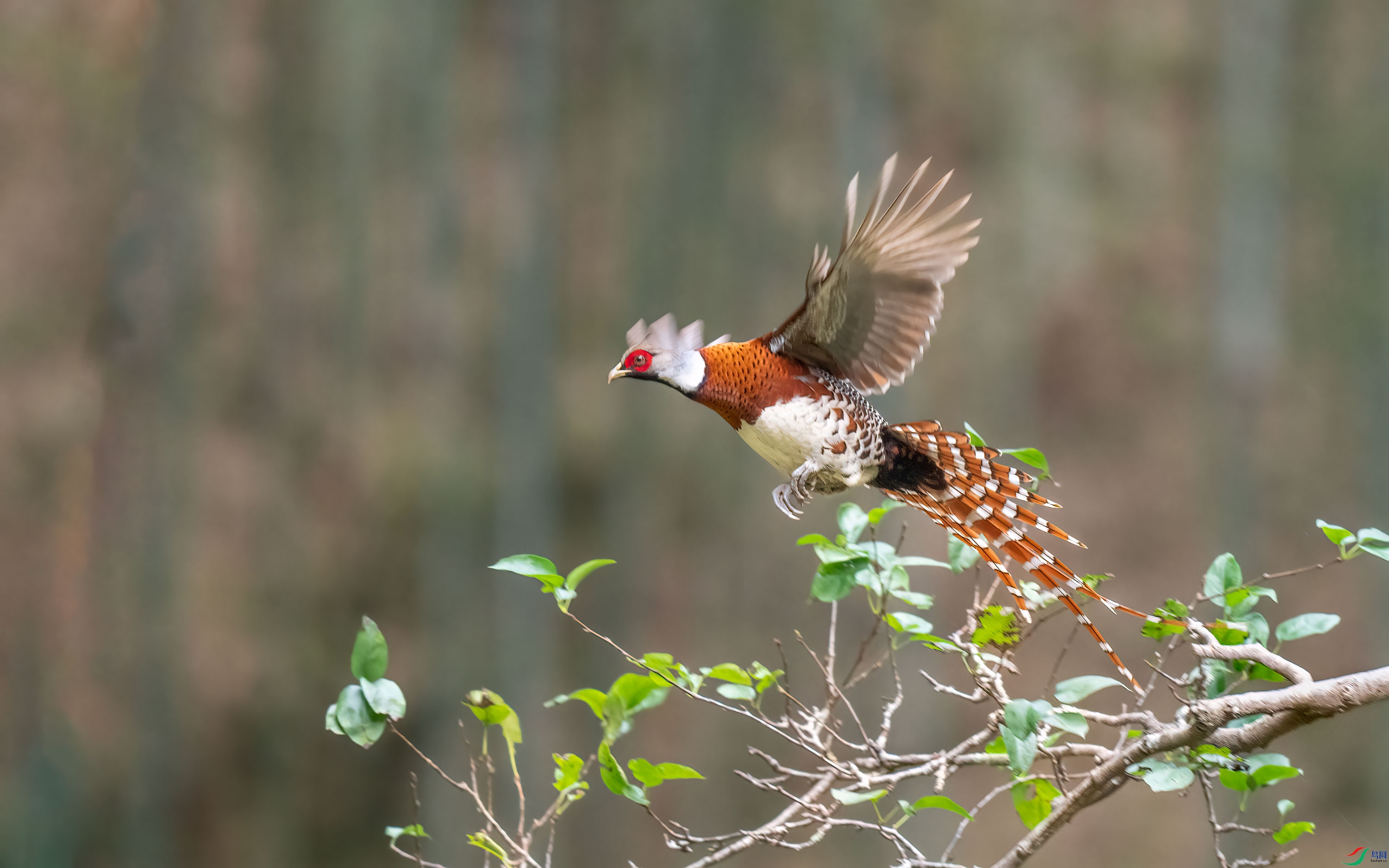 DSC05277-2.jpg