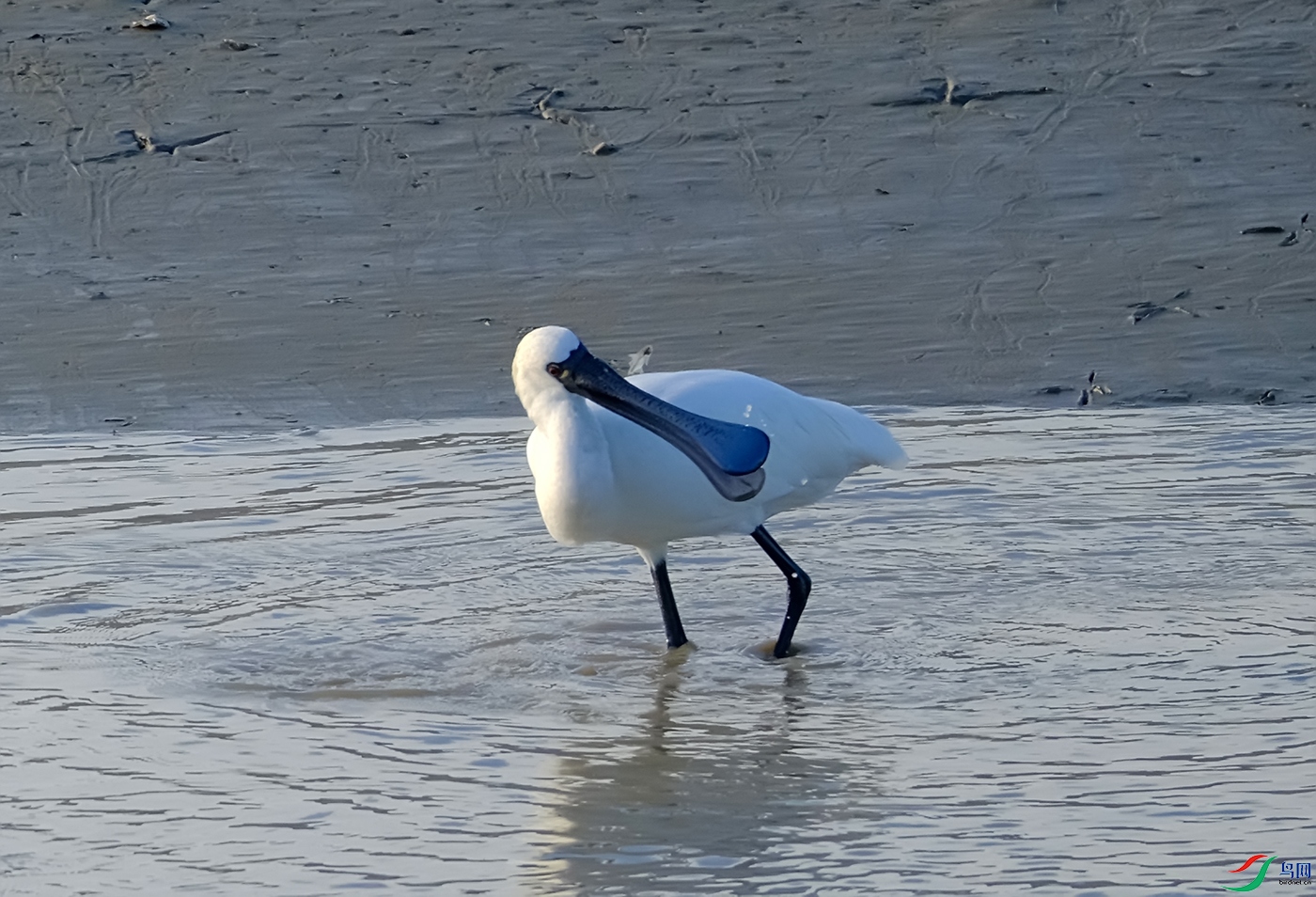 DSCF2852.jpg