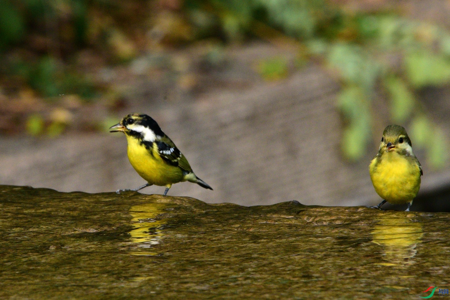 DSC_6444.JPG