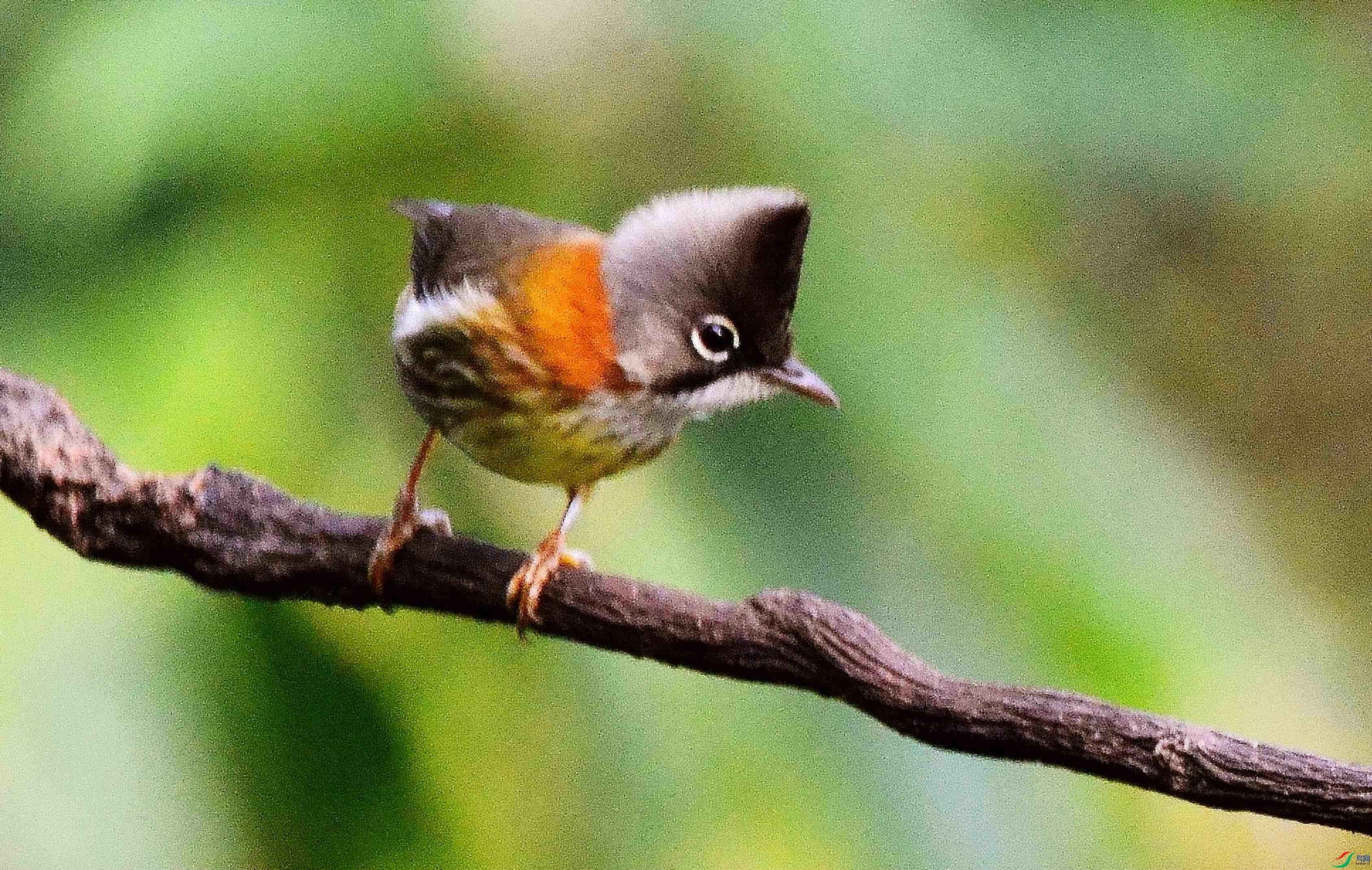 DSC_4838.JPG