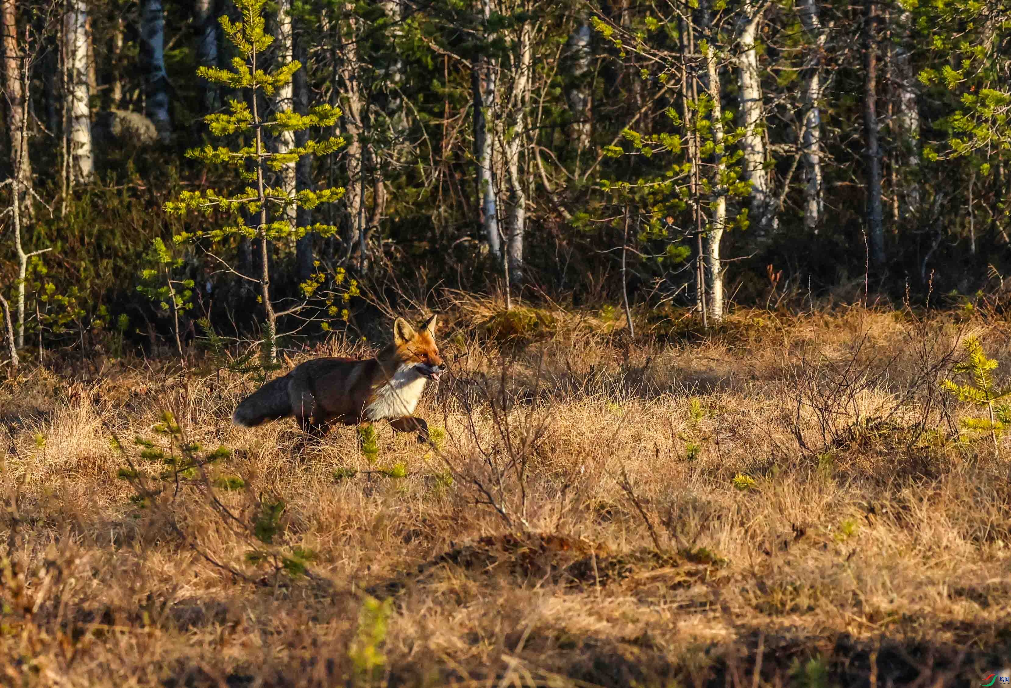 8F7A2223 ����.jpg