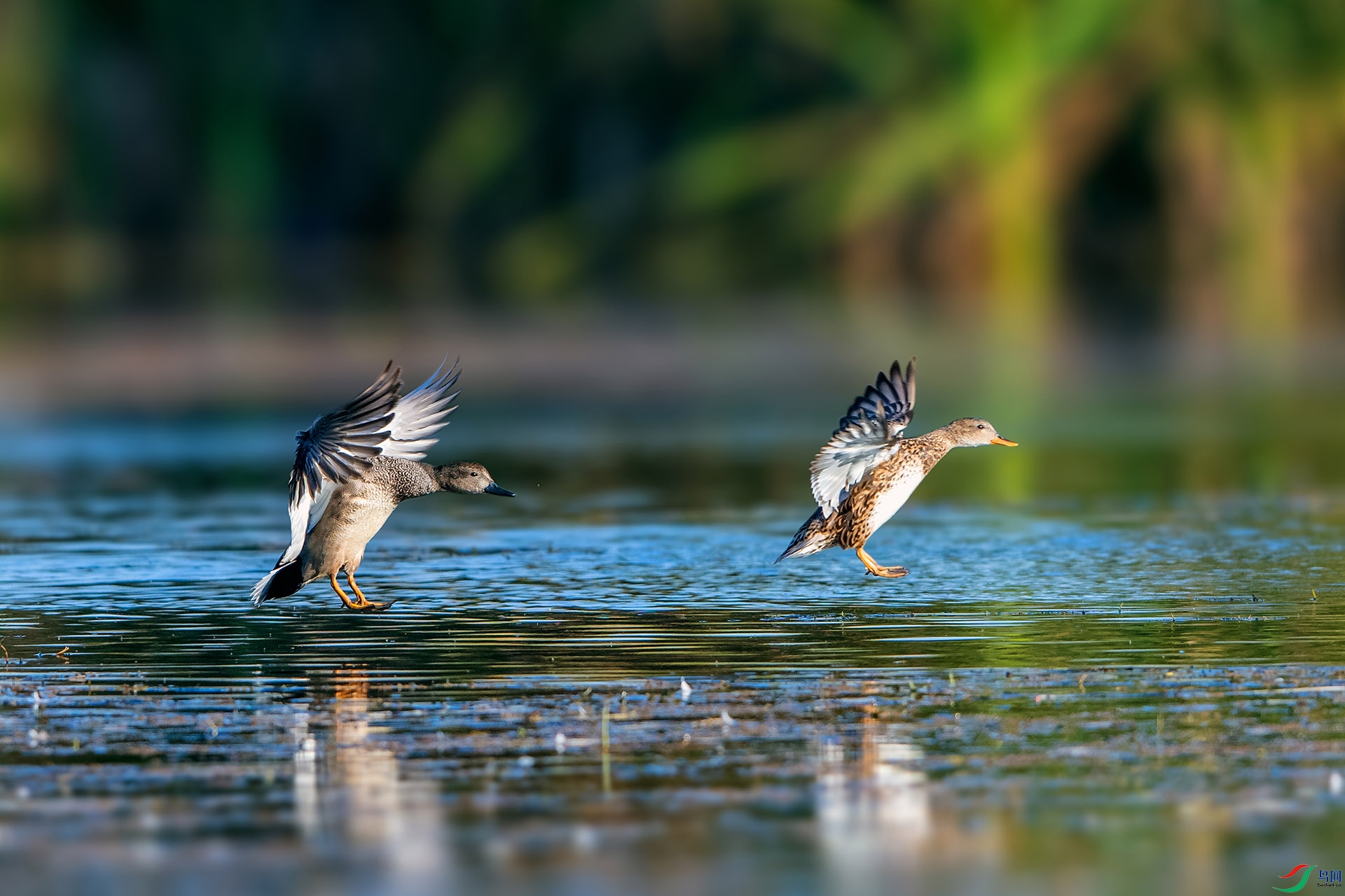 ��_AUU8207����½(23.1.5)-1.jpg