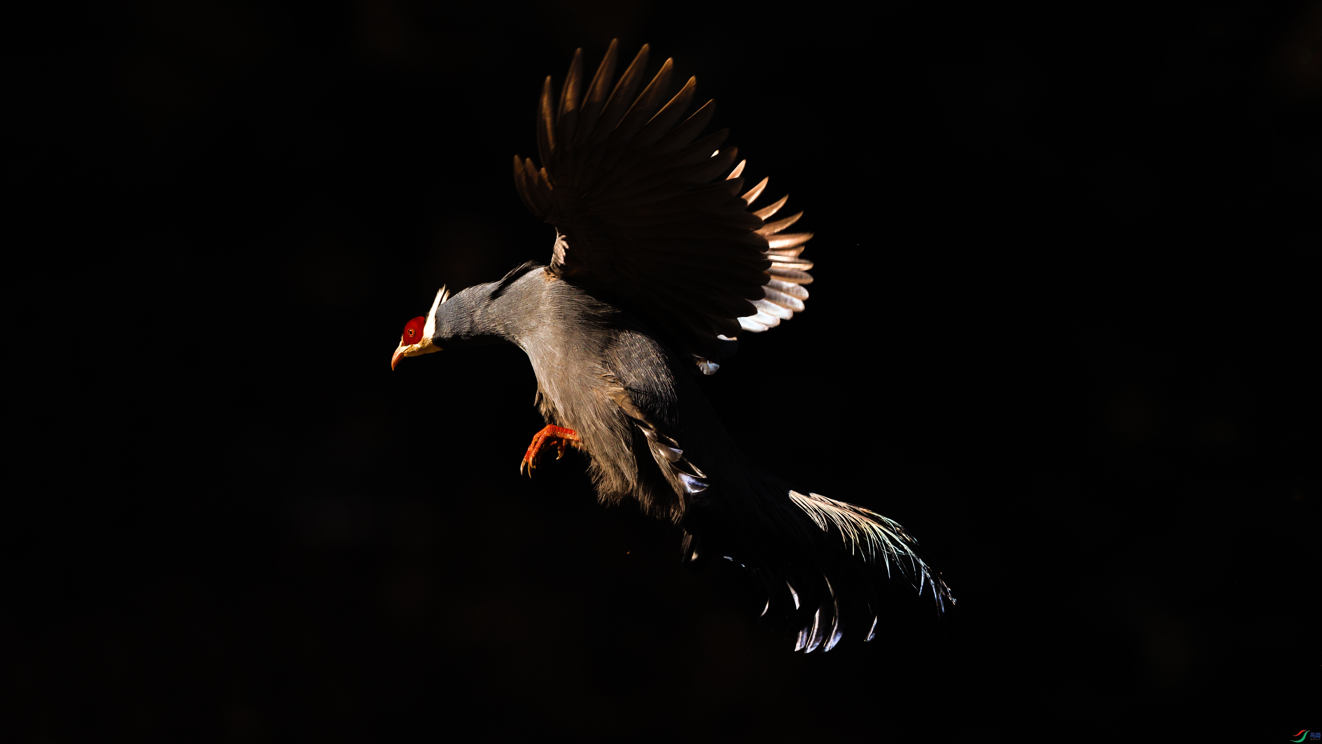 7X5A6723 ���� ���������ɰ�.jpg