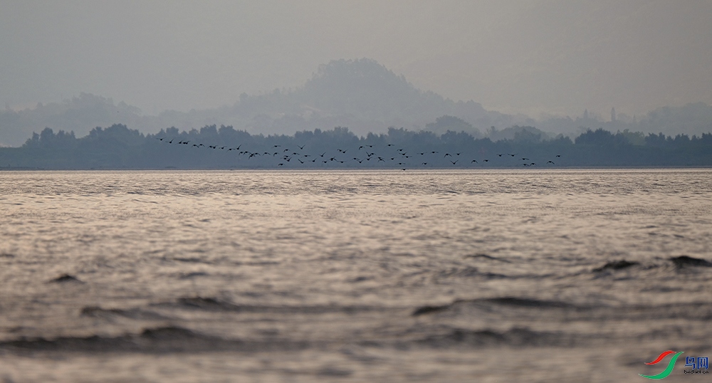 DSCF5361.1.jpg