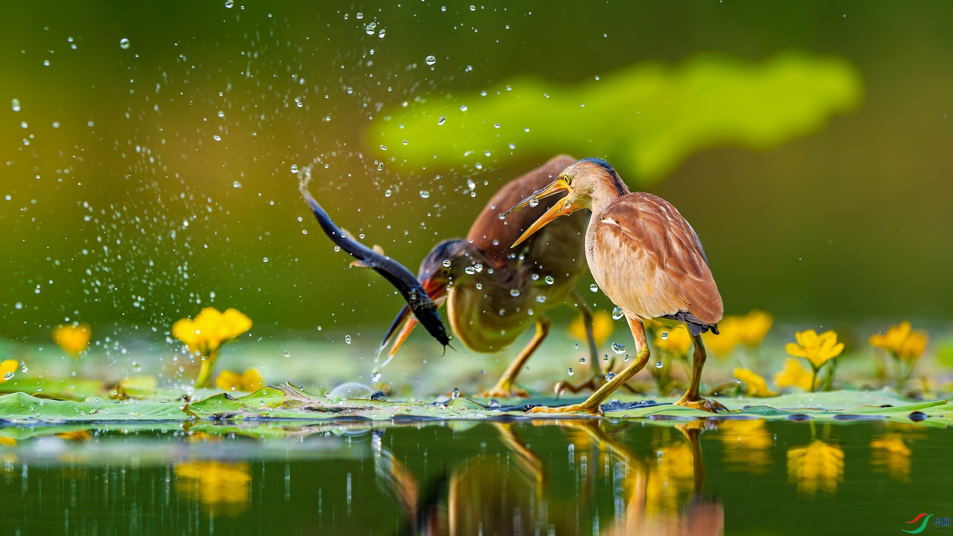 1-2_DSC4025-����ǿ-NR ����-1.jpeg