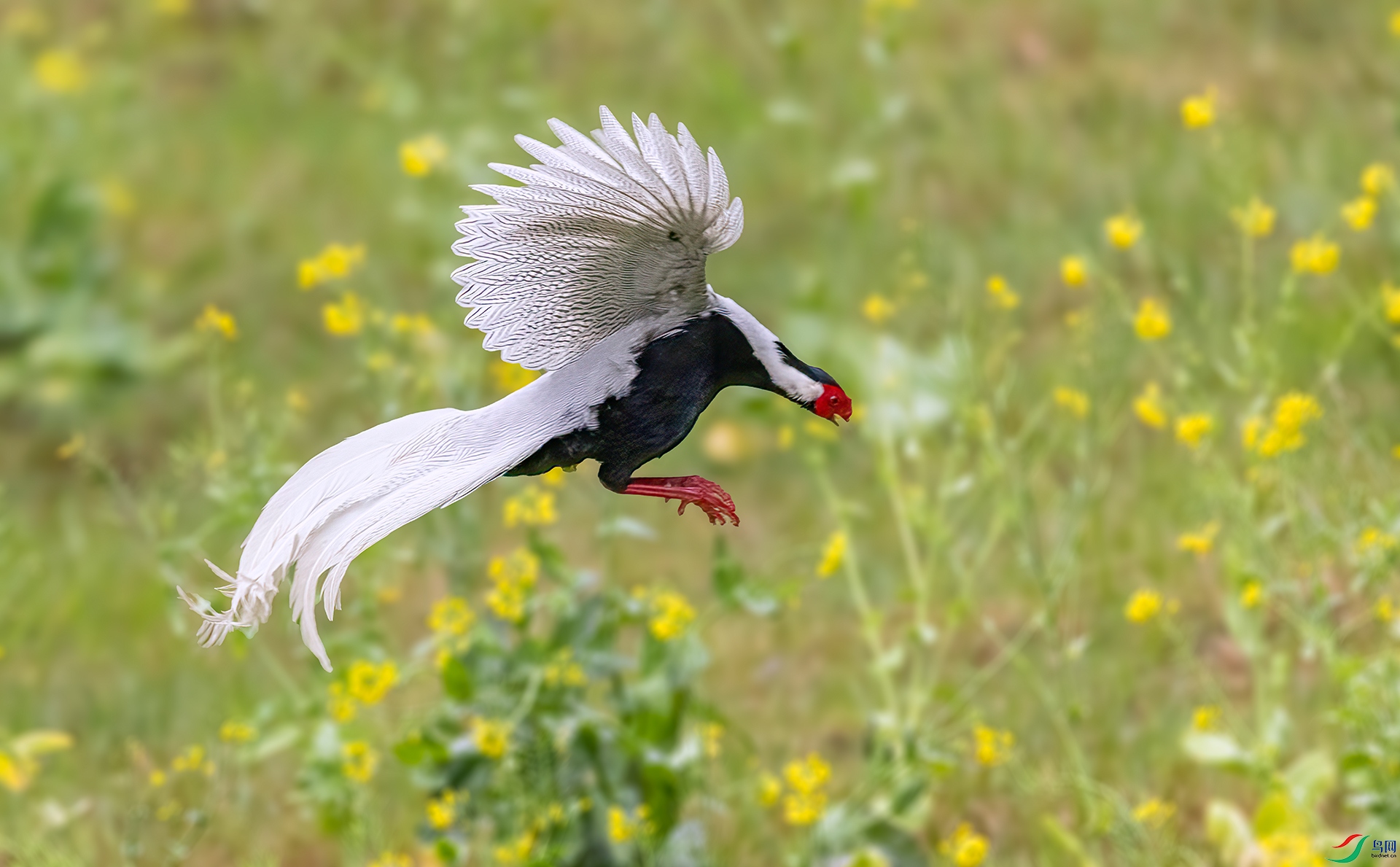 407A8845 ����-Sh----1 .jpg