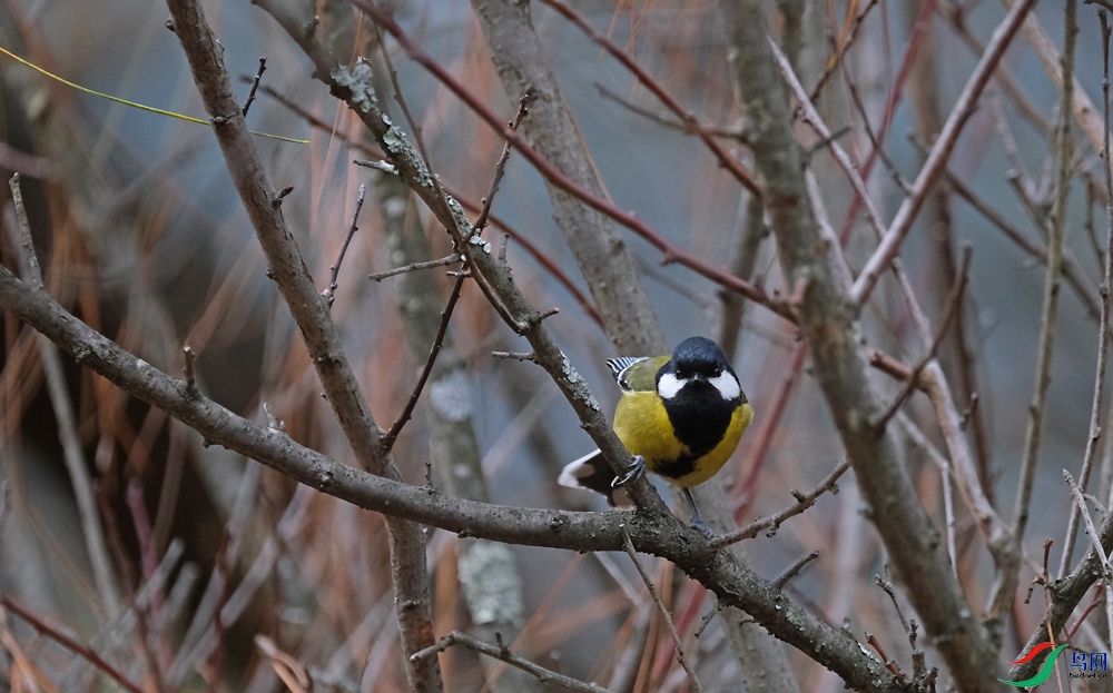 DSCF3264.1.jpg