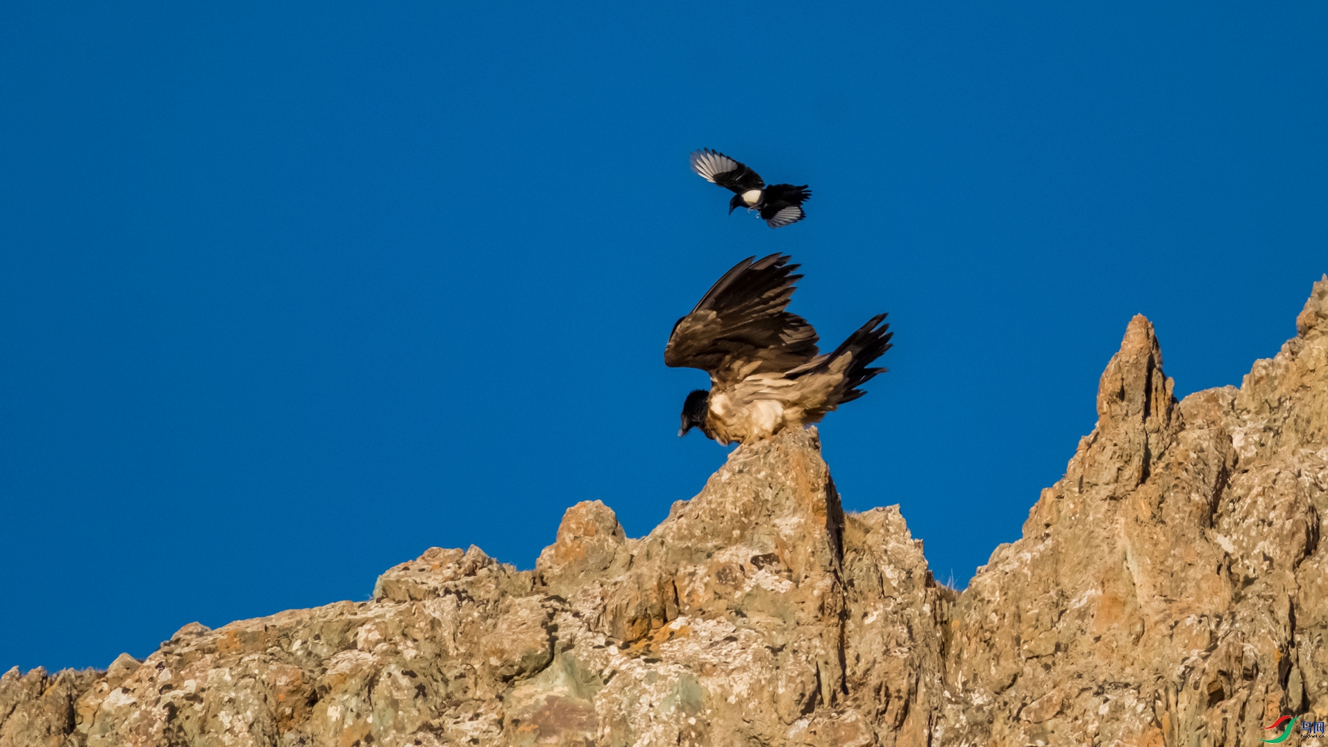 ��أ�պ�ϲȵ