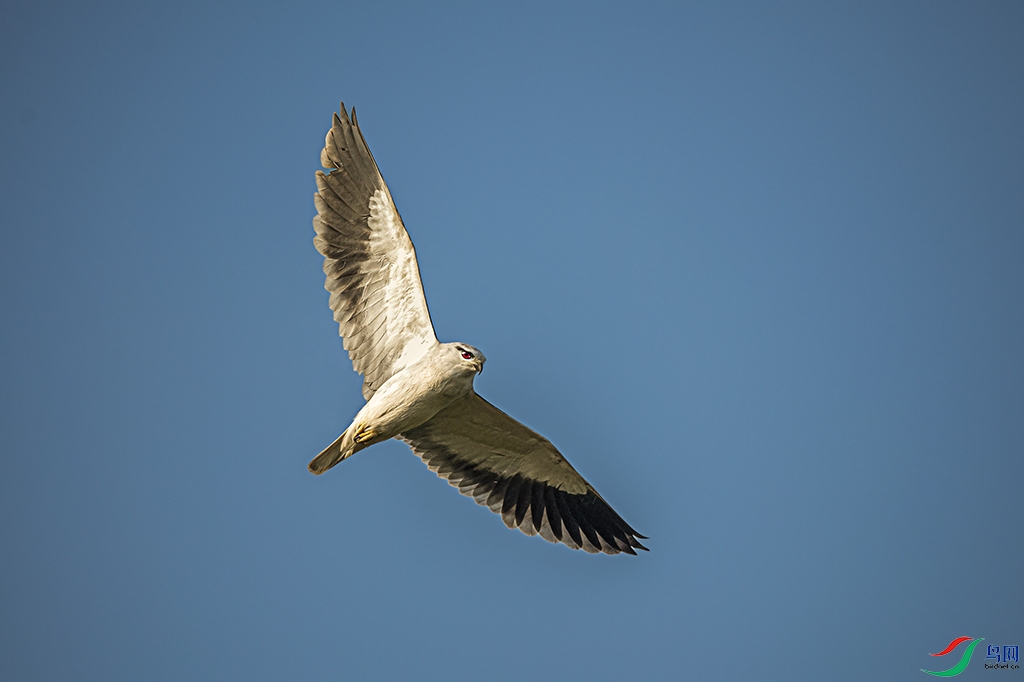 DSC_2809 - ����.jpg