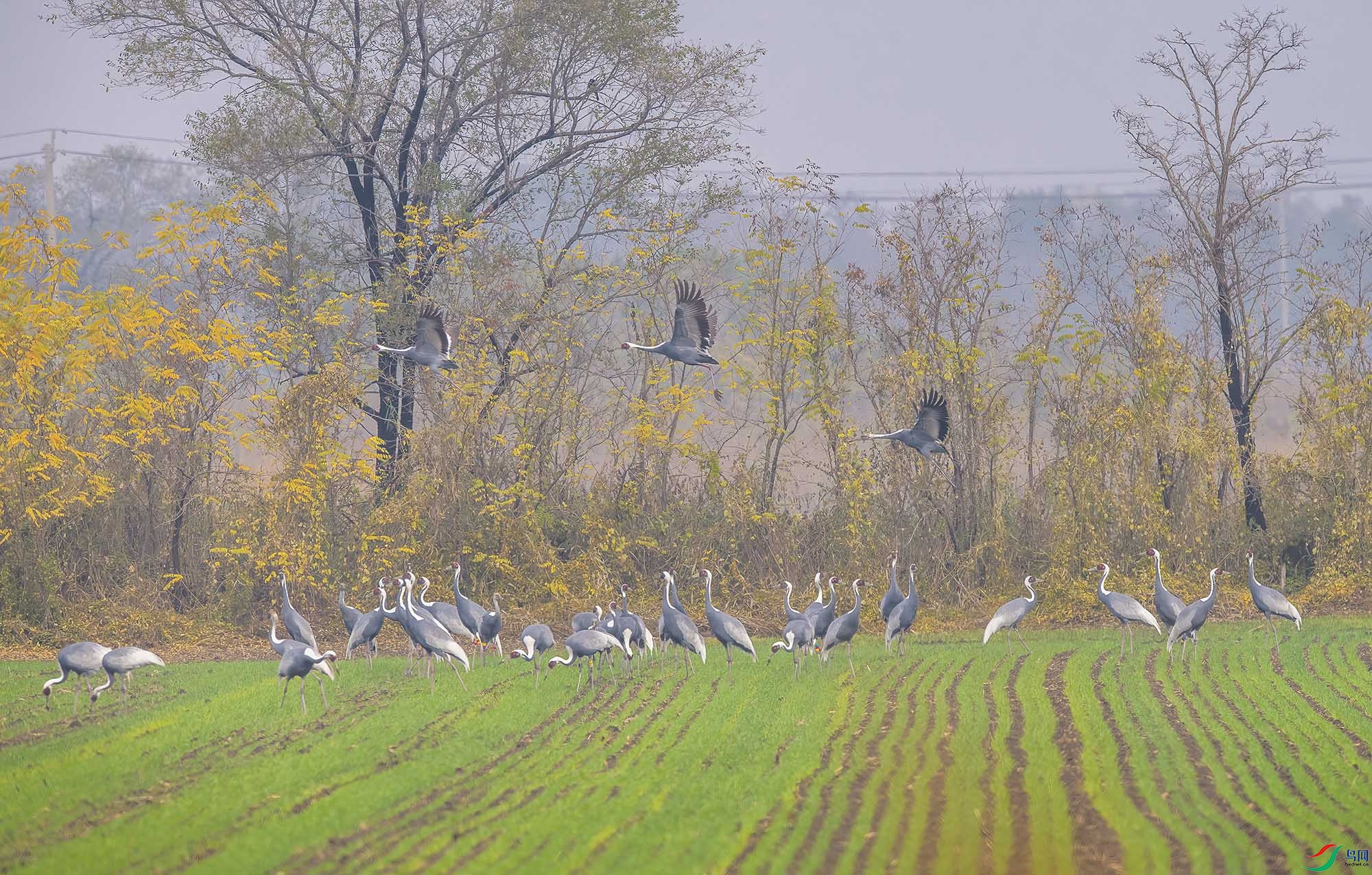 DSC_1061 ����-B.jpg