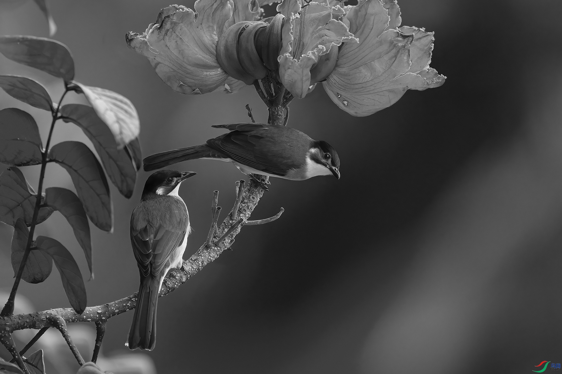 DSC01707010.jpg