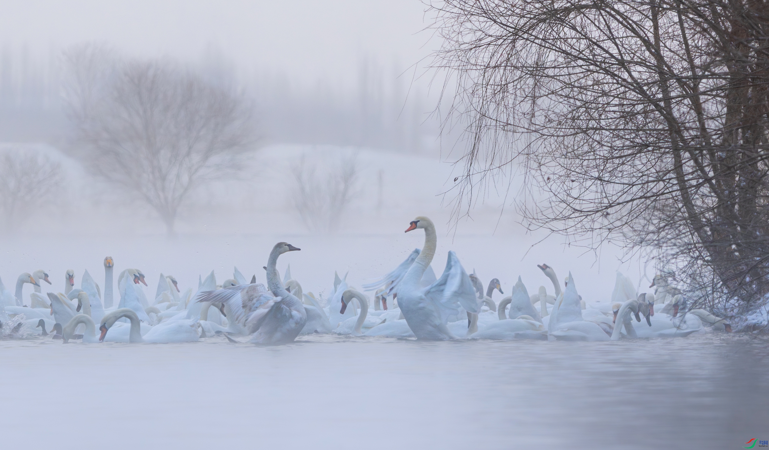 DSC_3821-����ǿ-NR-12.jpg