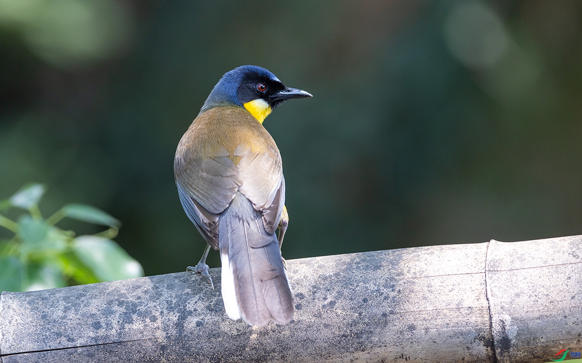 11.13 ��Ӱ������ʦ��Ʒ  �������  �ٻ�2024��11��13��������ҳ����.jpg