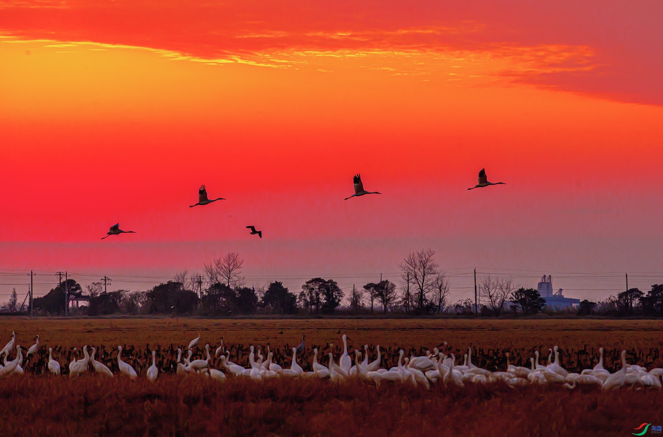 11.13 ��ɽ����ʦ��Ʒ  ������Ǩӳ��ϼ  �ٻ�2024��11��13����Ӱʦ��ҳ����.jpg