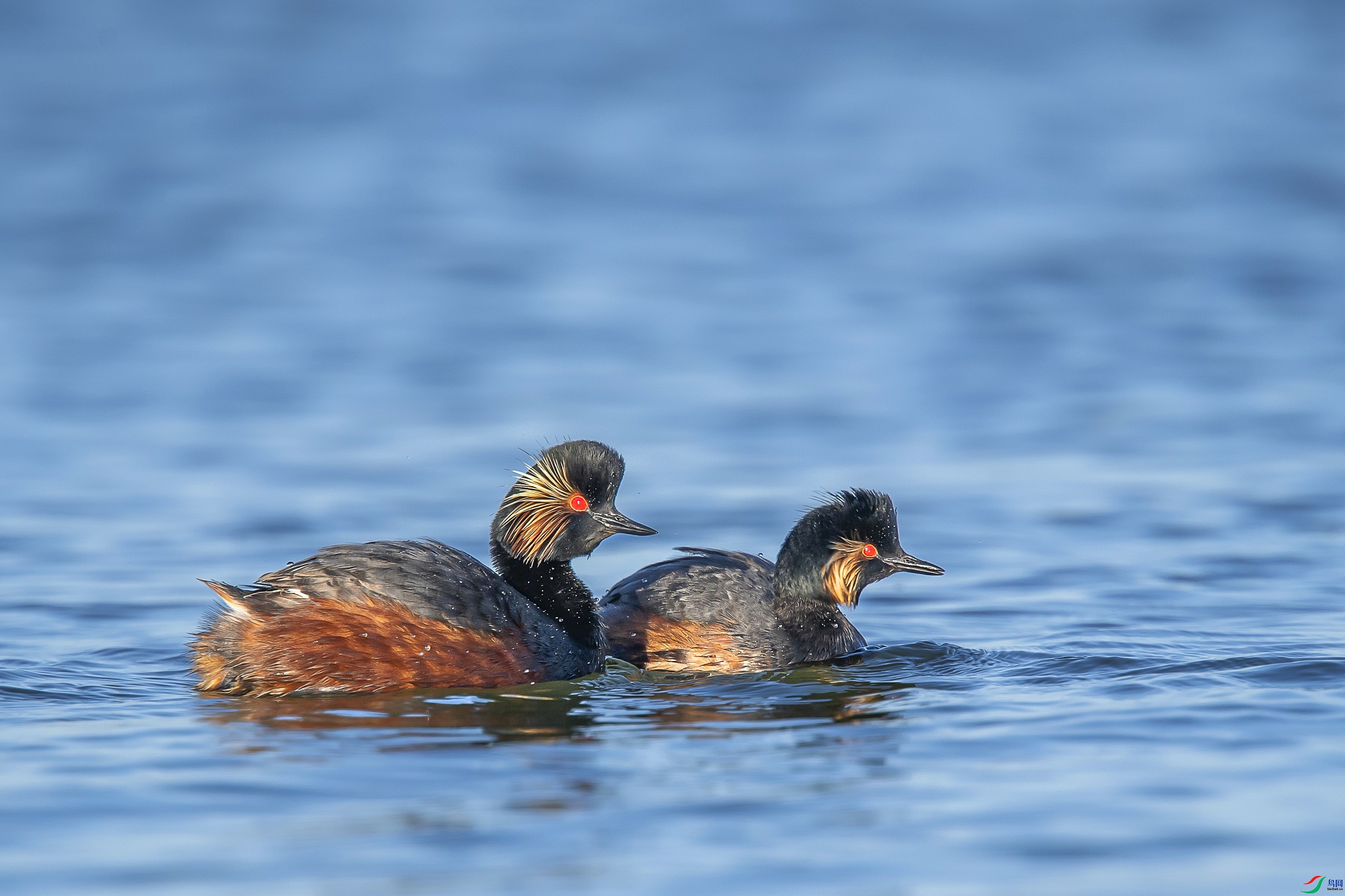 11.13 ����1183��ʦ��Ʒ  �ھ��f  �ٻ�2024��11��13�ջ�Ա��ҳ����.jpg