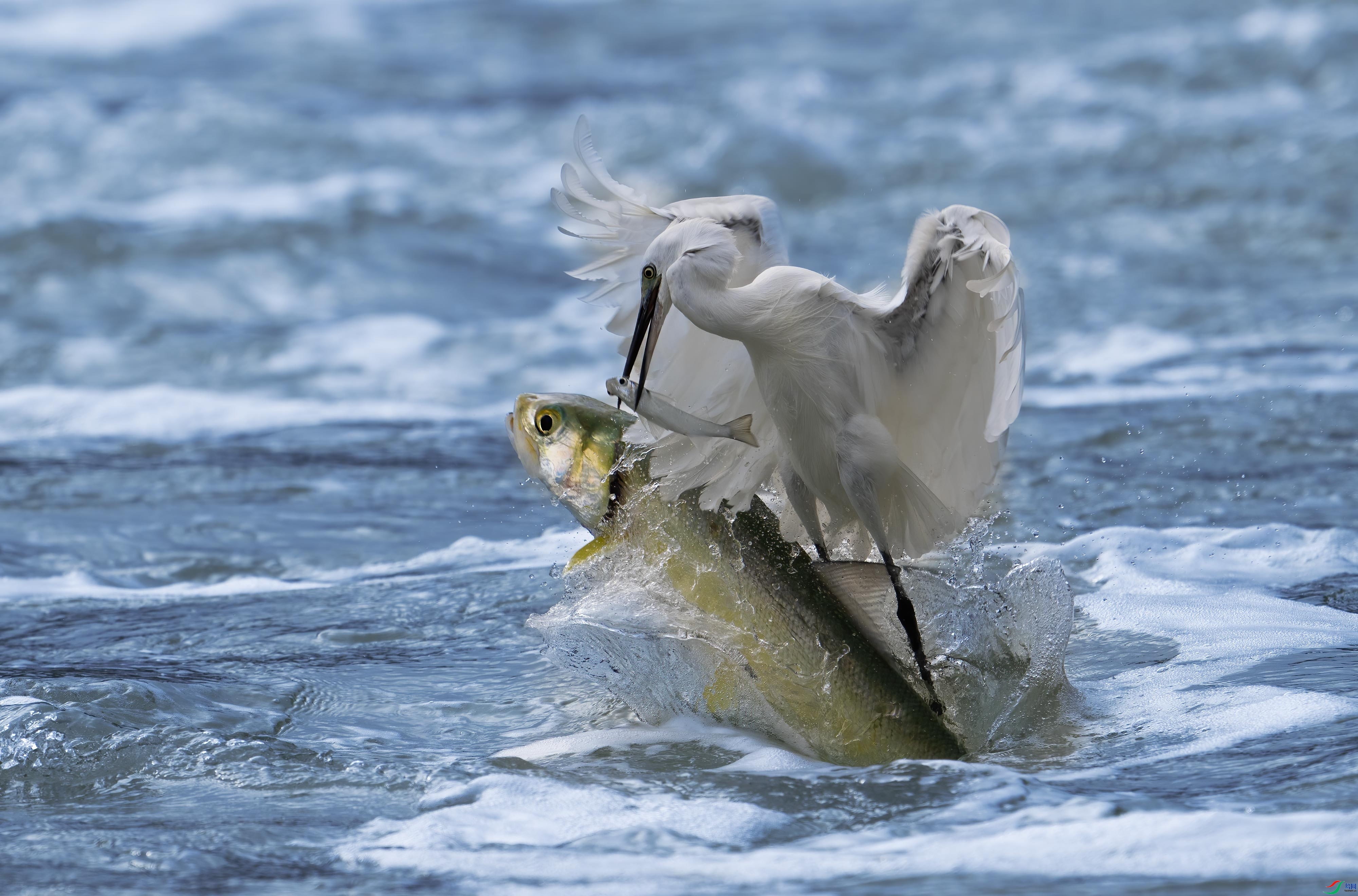 11.13 ����������ʦ��Ʒ  �ﻢ֮��  �ٻ�2024��11��13����Ӱʦ��ҳ����.jpg