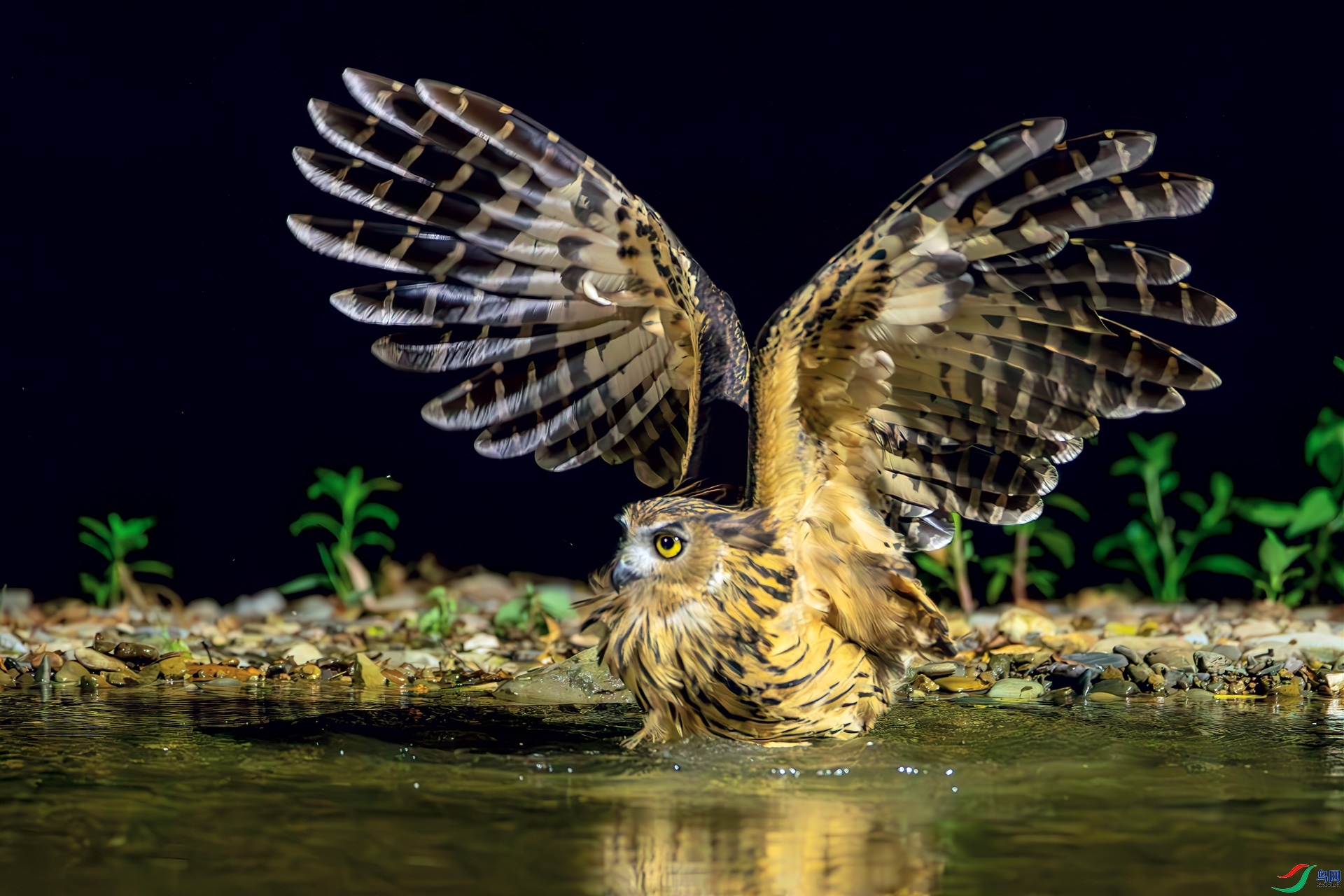 11.13 л������ʦ��Ʒ  ����  �ٻ�2024��11��13�հ�����ҳ����.jpg