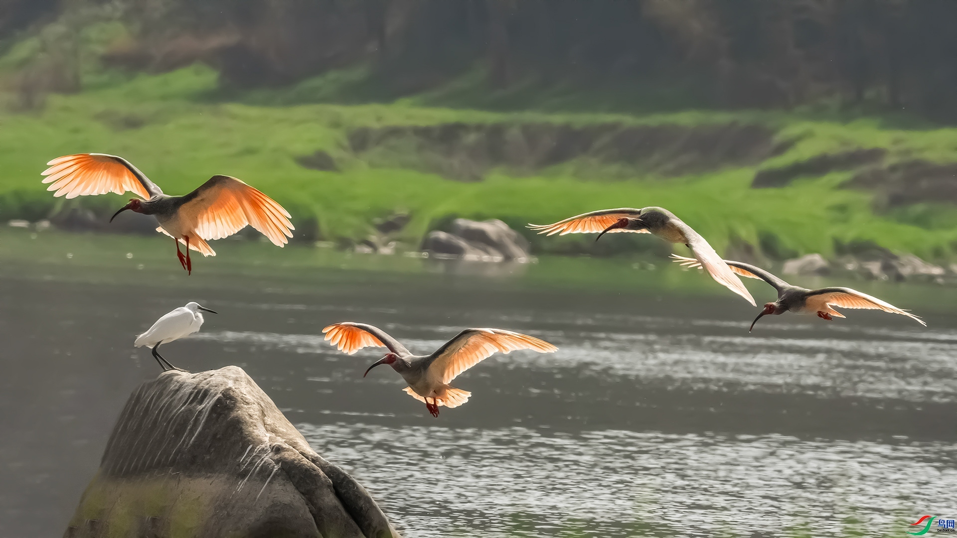 11.14 ��������ʦ��Ʒ  ���q  �ٻ�2024��11��14�ջ�Ա��ҳ����.jpg