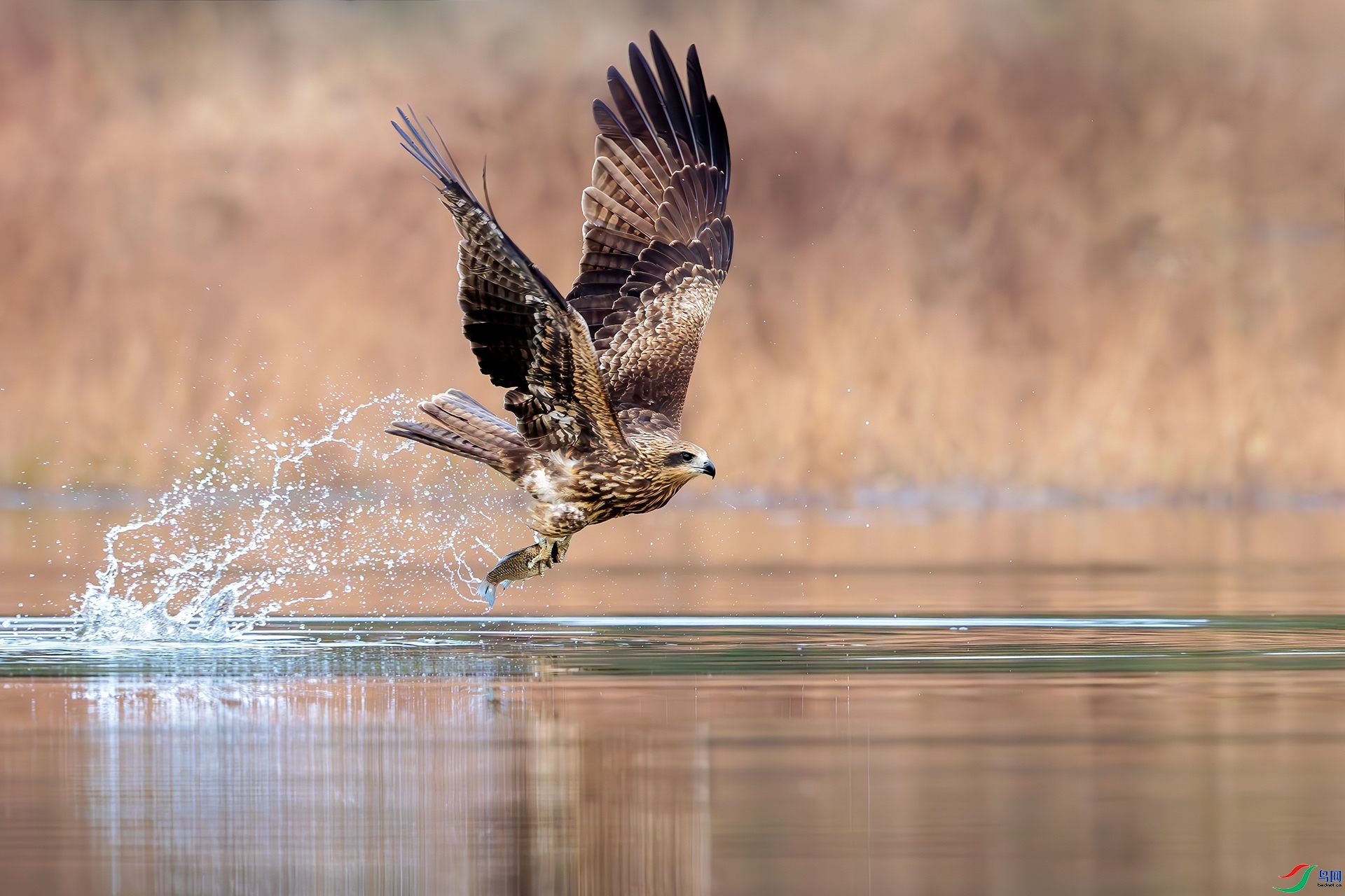 11.15 �ɵ���ʦ��Ʒ  �ڶ��  �ٻ�2024��11��15����Ӱʦ��ҳ����.jpg