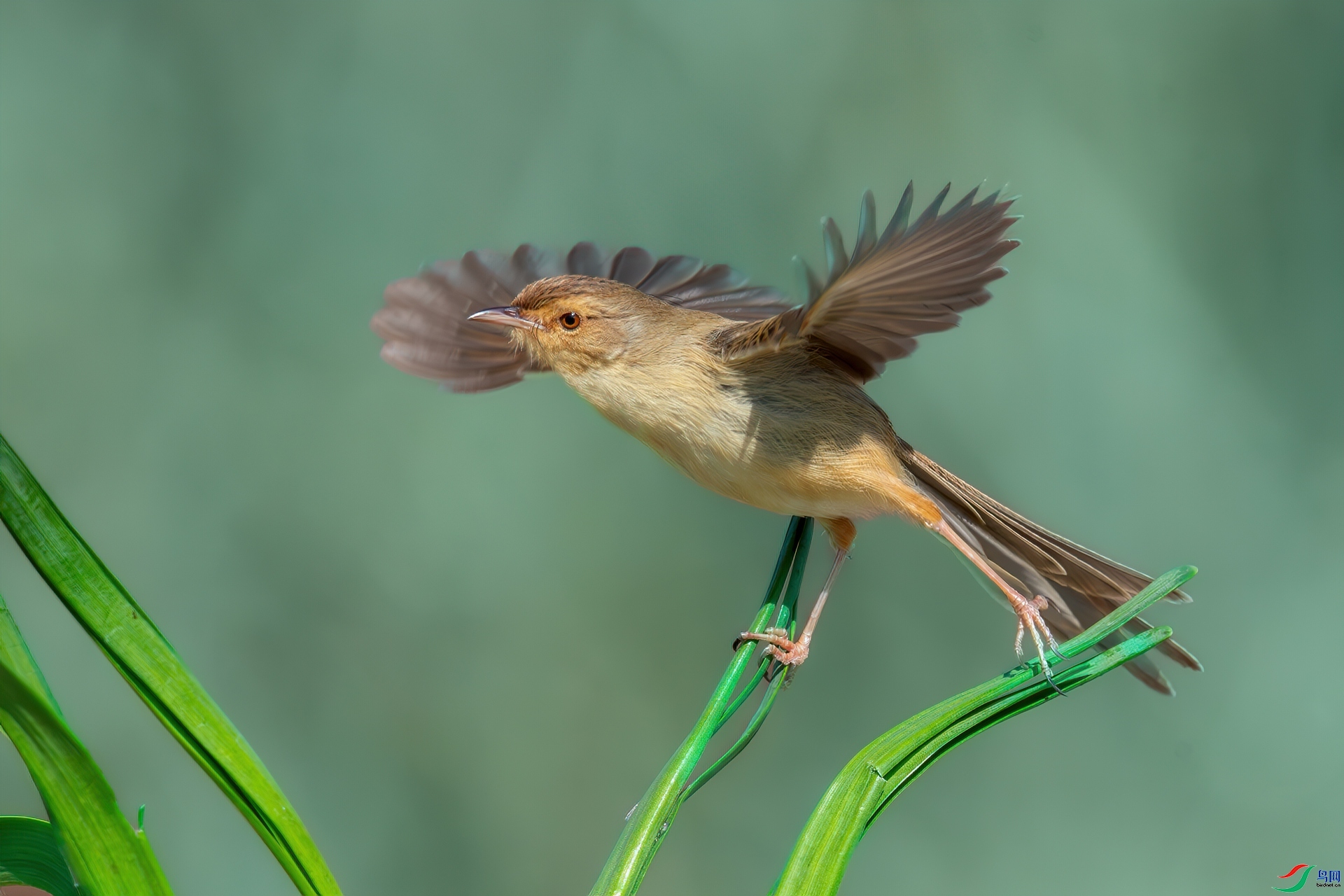 11.14 ����ī��ʦ��Ʒ  ��ݺ  �ٻ�2024��11��14��������ҳ����.jpg