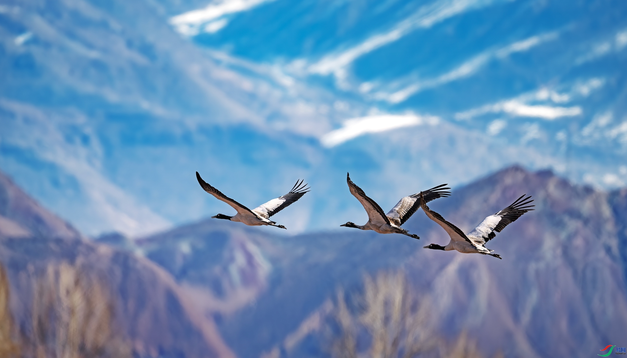 11.15 ����������ʦ��Ʒ  ��ɽԽ��  �ٻ�2024��11��15�հ�����ҳ����.jpg