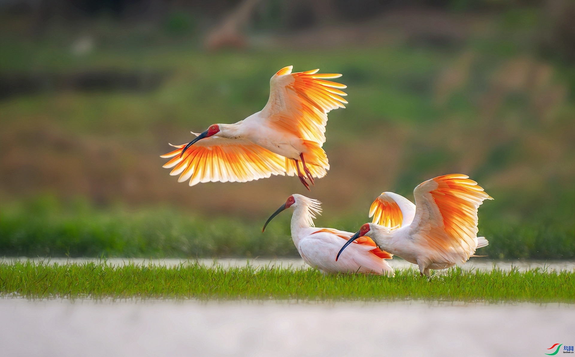 11.15 ��������ʦ��Ʒ  ���q���  �ٻ�2024��11��15����Ӱʦ����.jpg