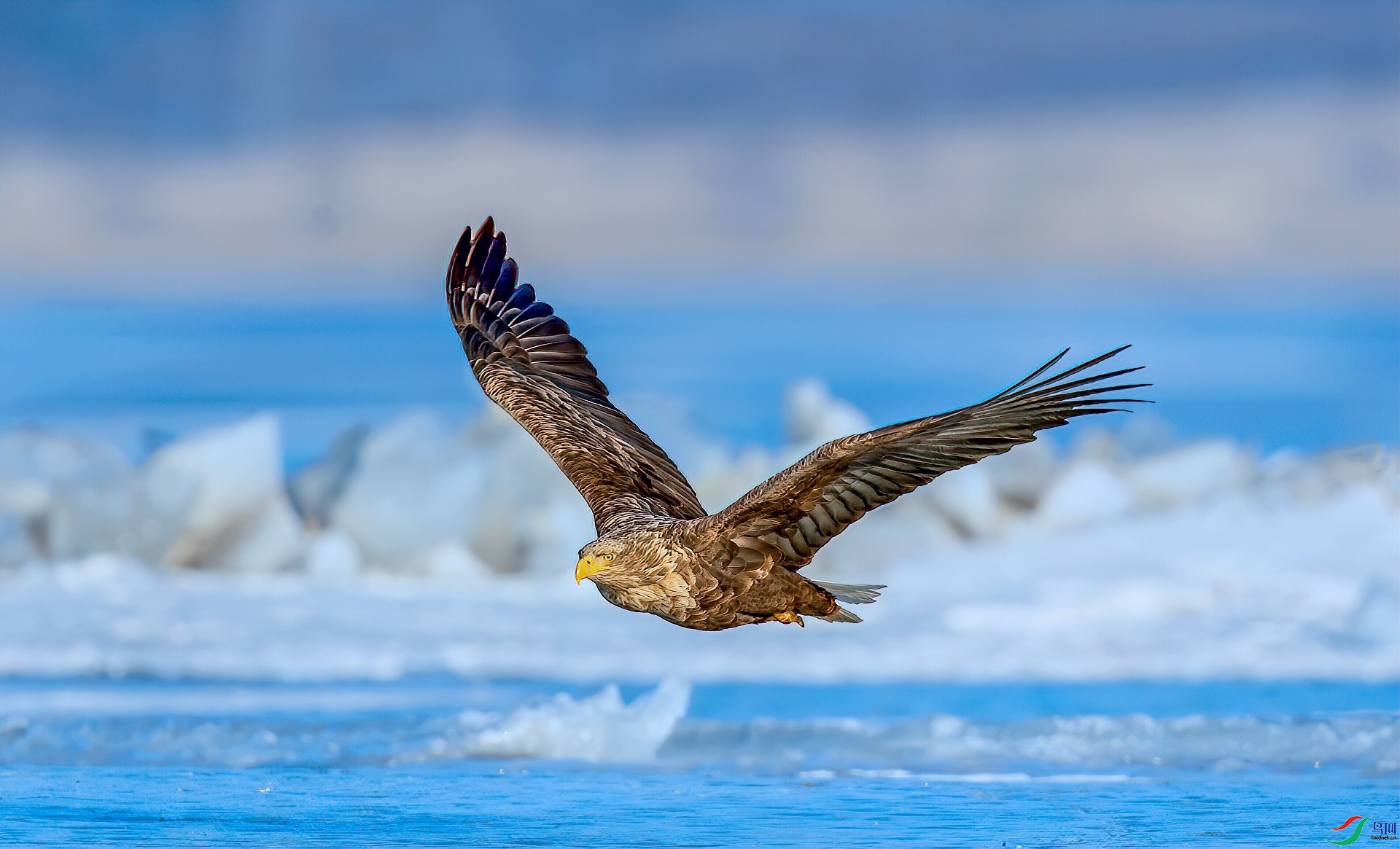 11.15 ������ͯ��ʦ��Ʒ  �ʺ���ʦ��  �ٻ�2024��11��15����Ӱʦ��ҳ����.jpg