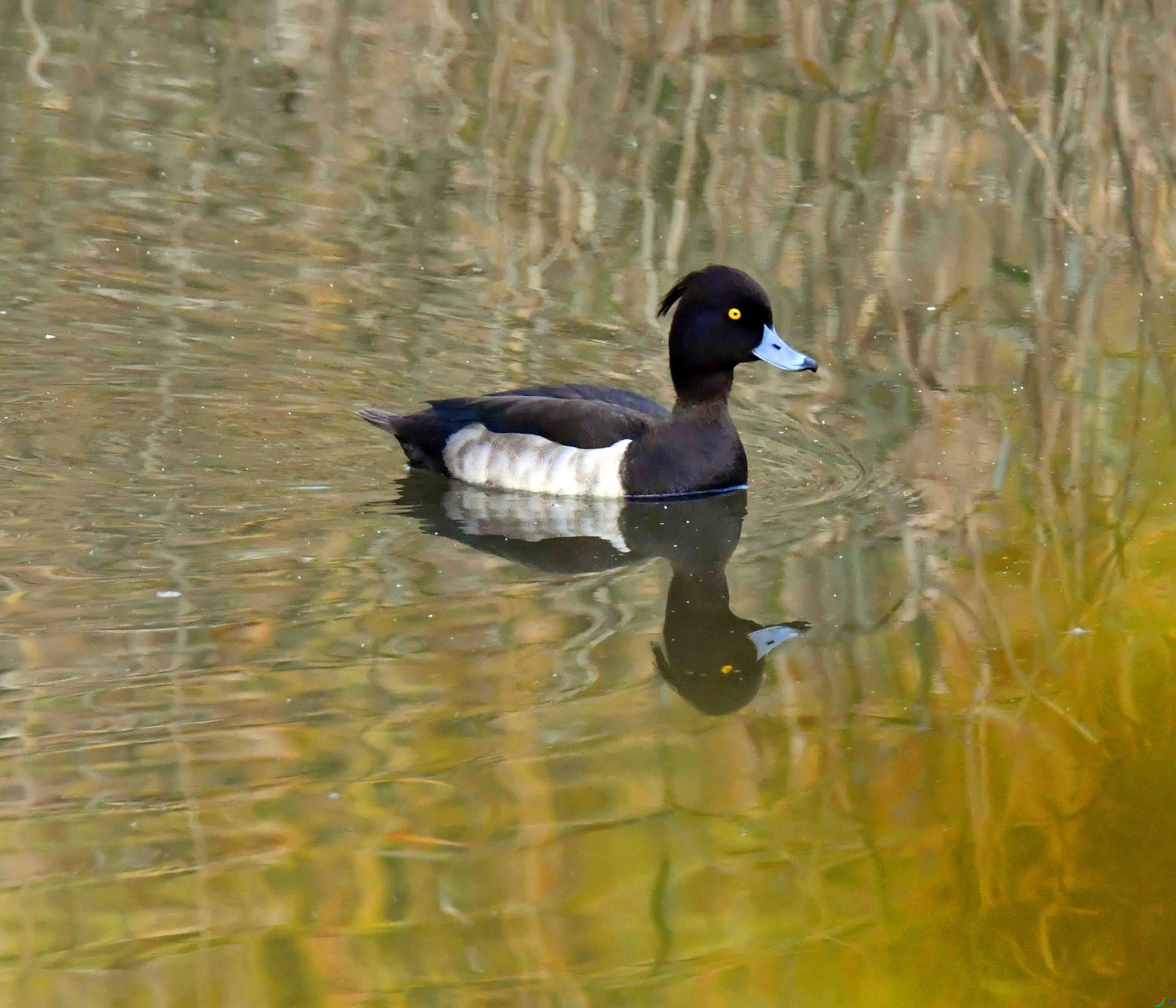 DSC_3591.JPG