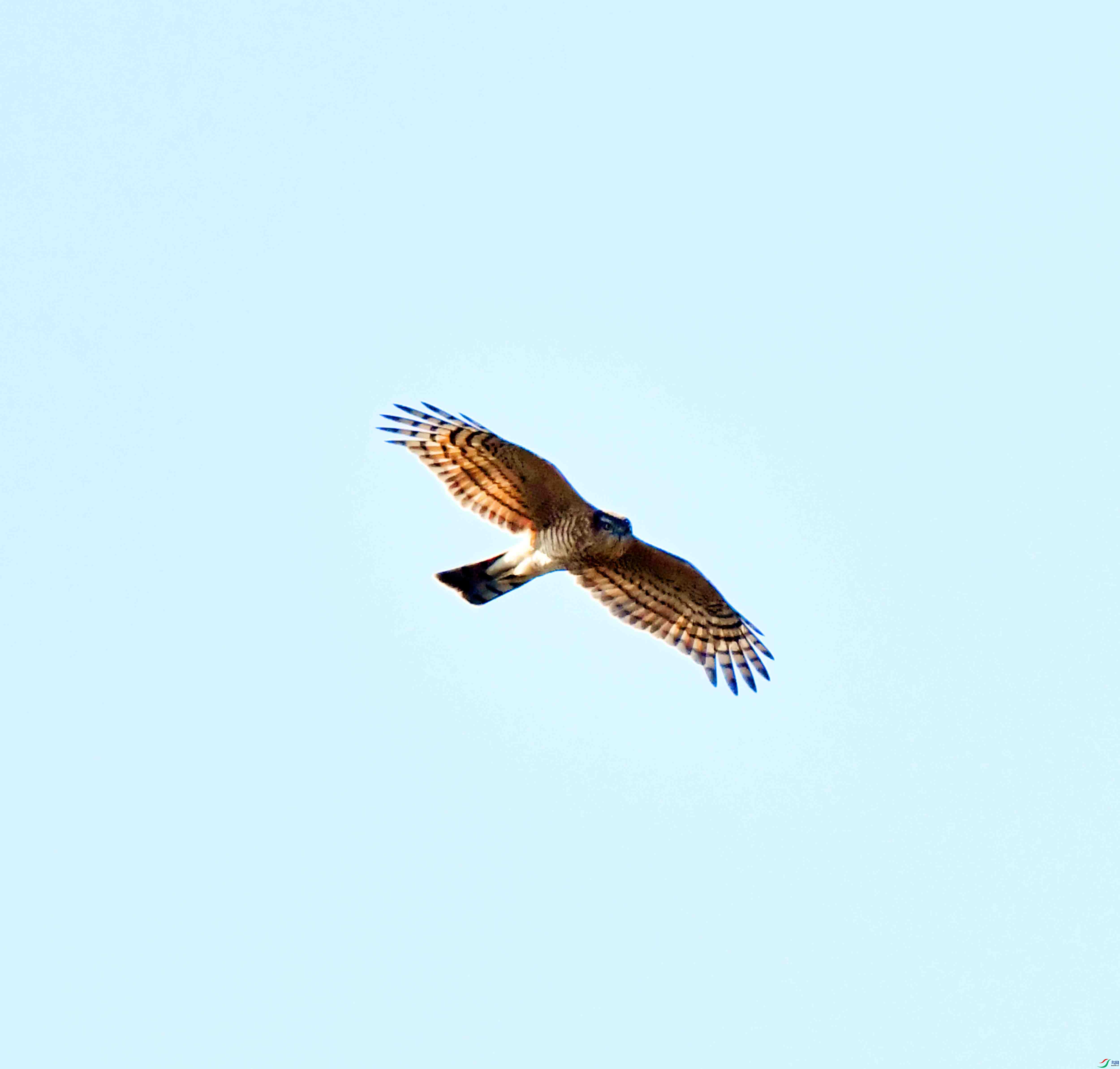 DSC_2561.JPG