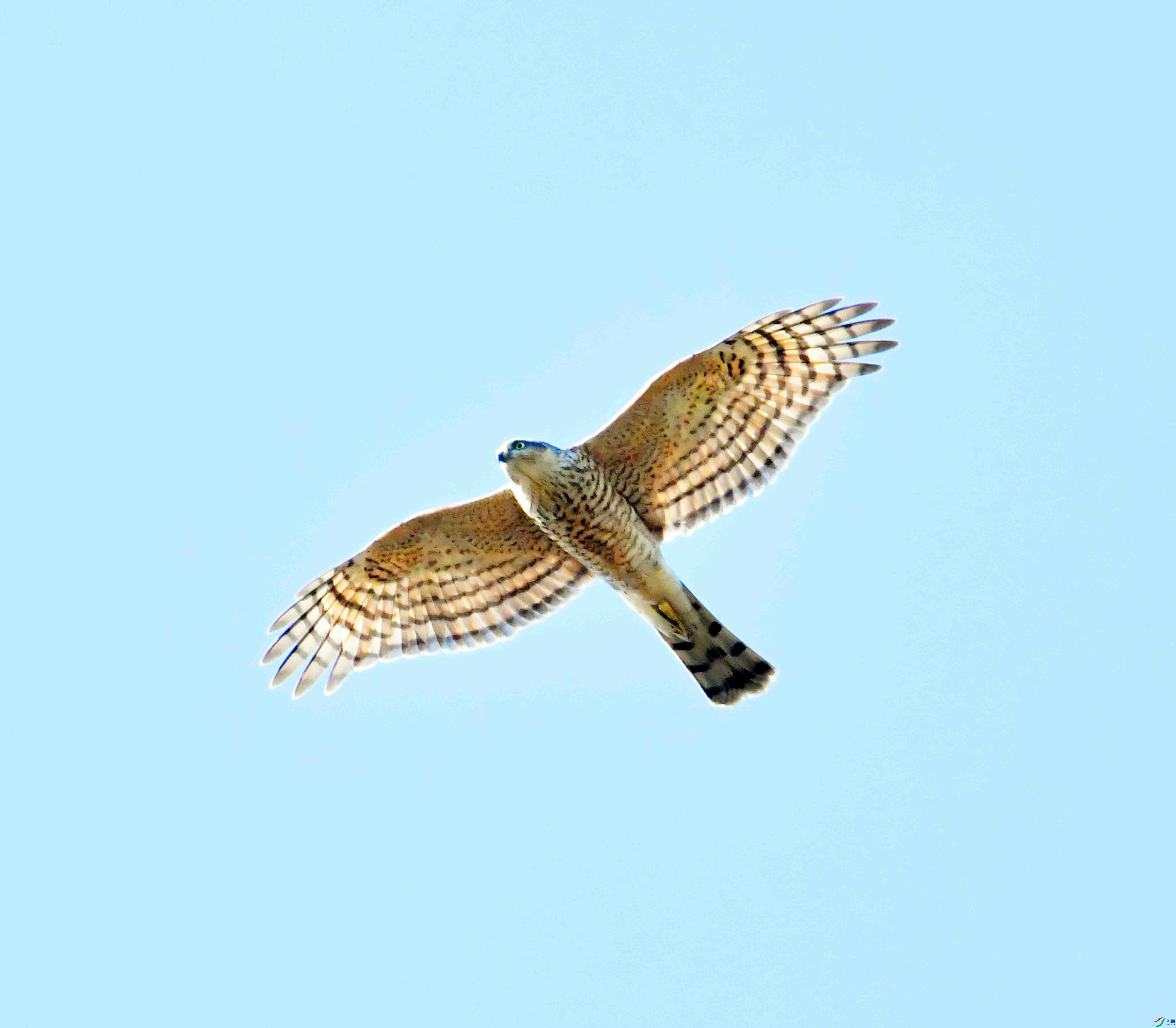 DSC_2627.JPG