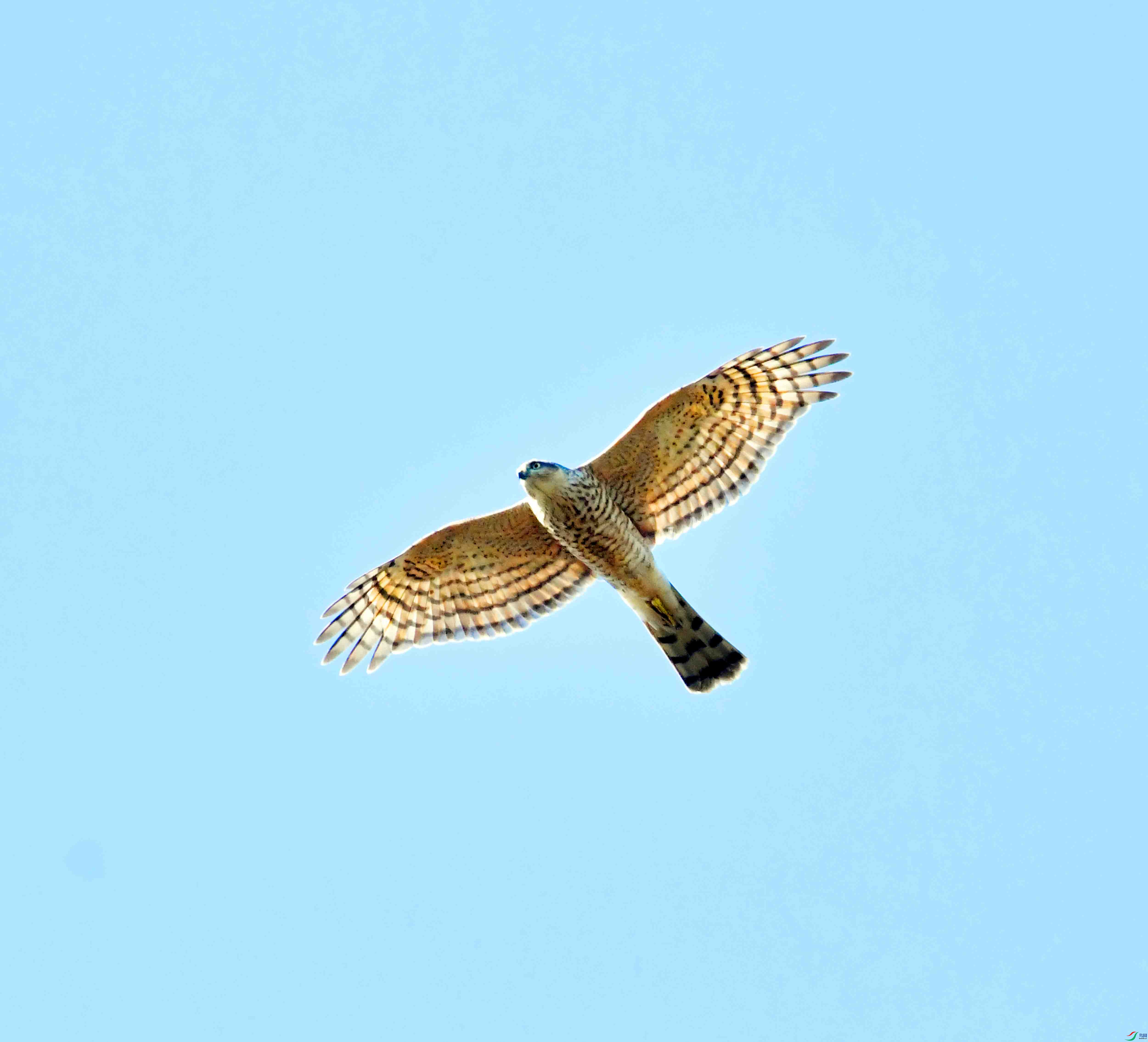 DSC_2626.JPG