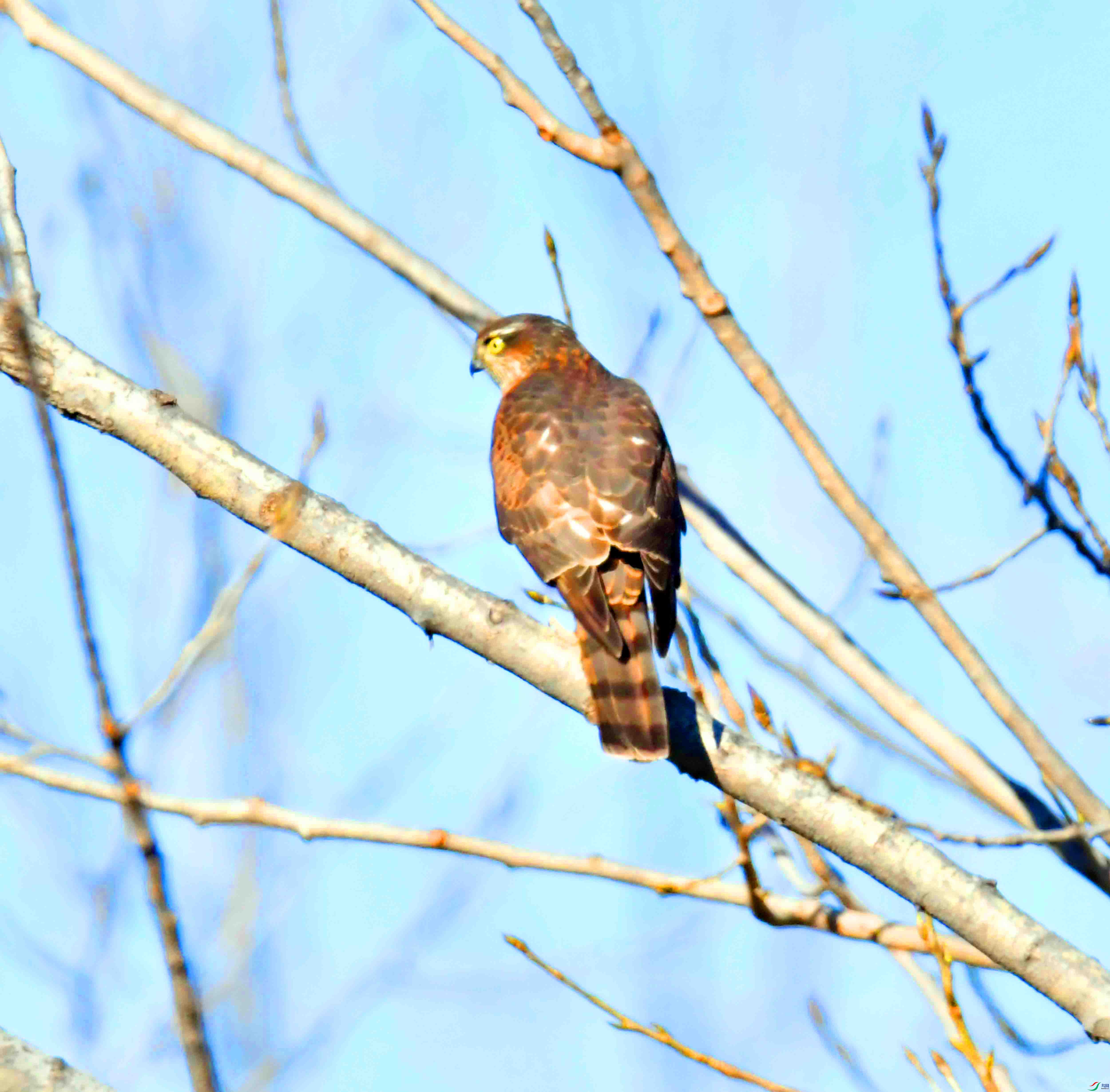 DSC_3845.JPG