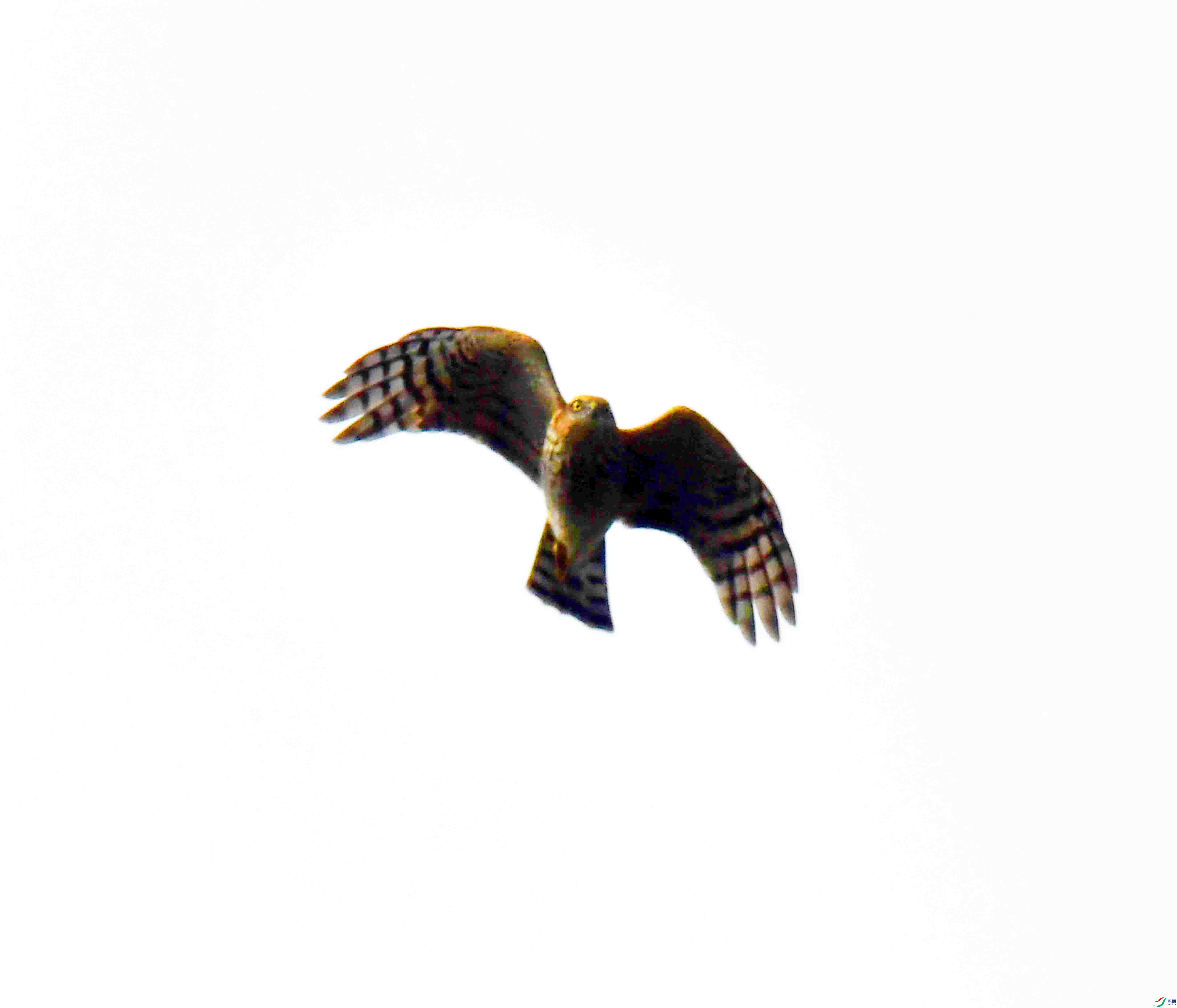 DSC_4789.JPG