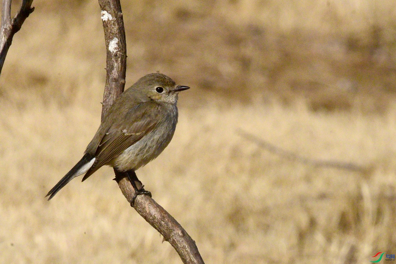 DSC_1711.JPG