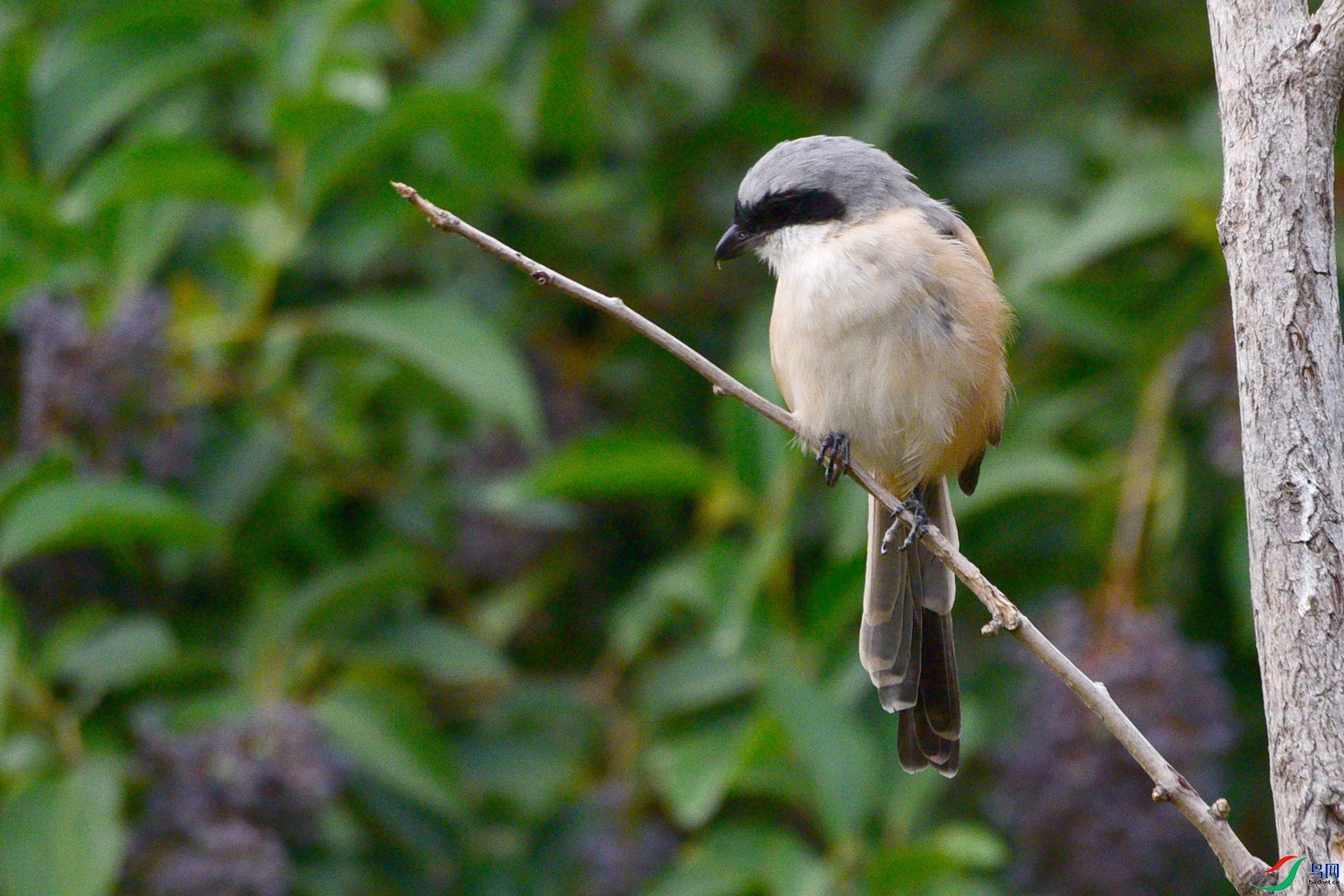 DSC_3606.JPG