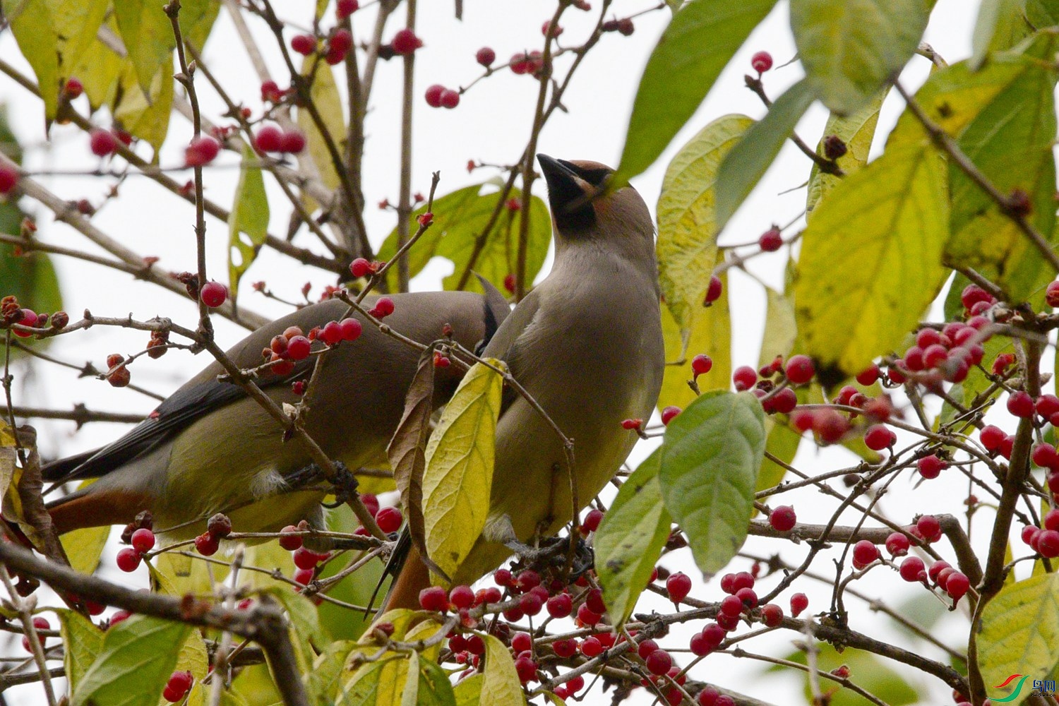 DSC_5826.JPG