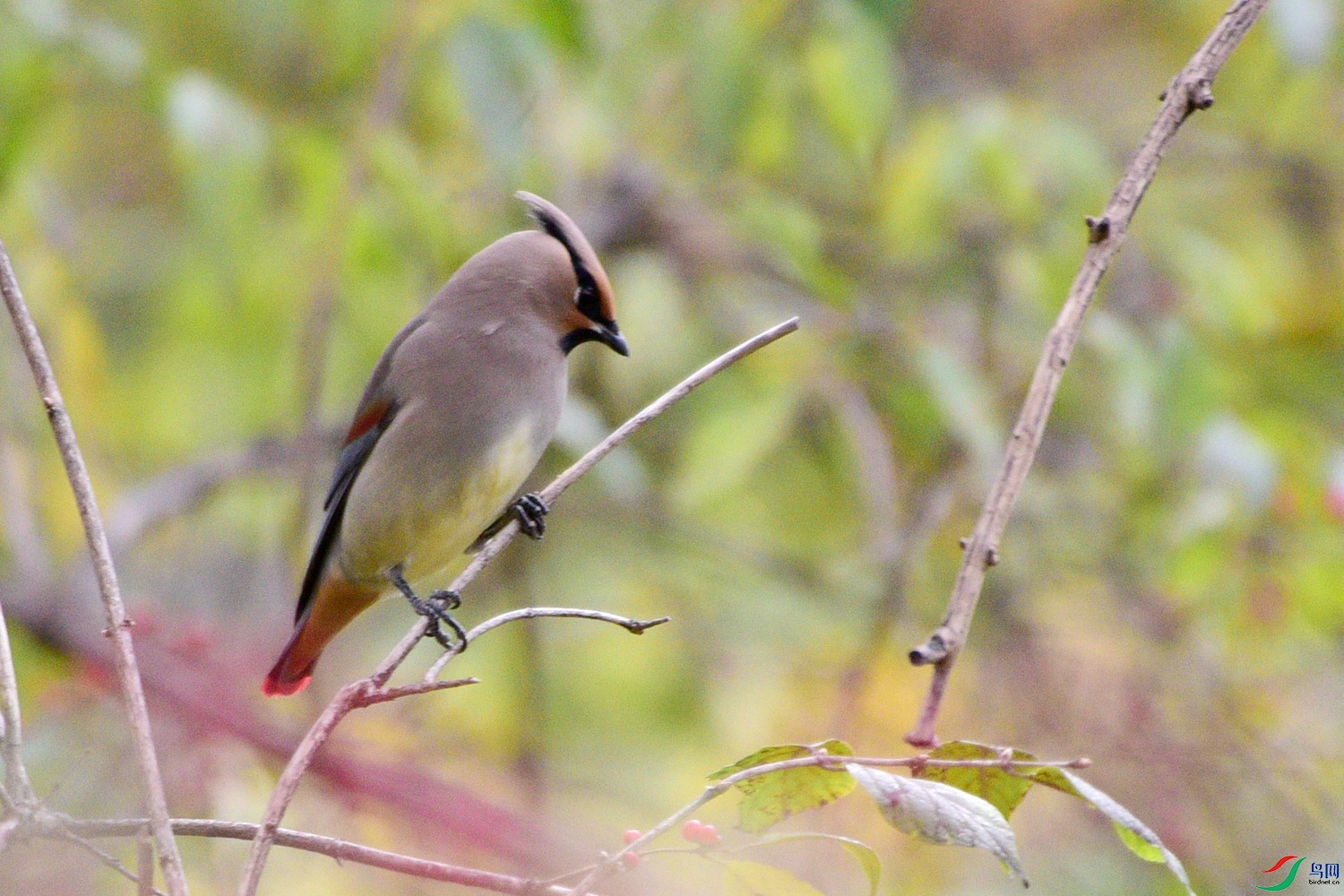 DSC_5843.JPG