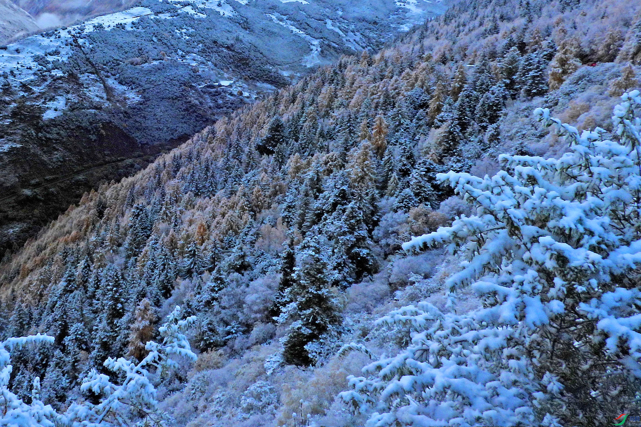 DSCN4601.jpg