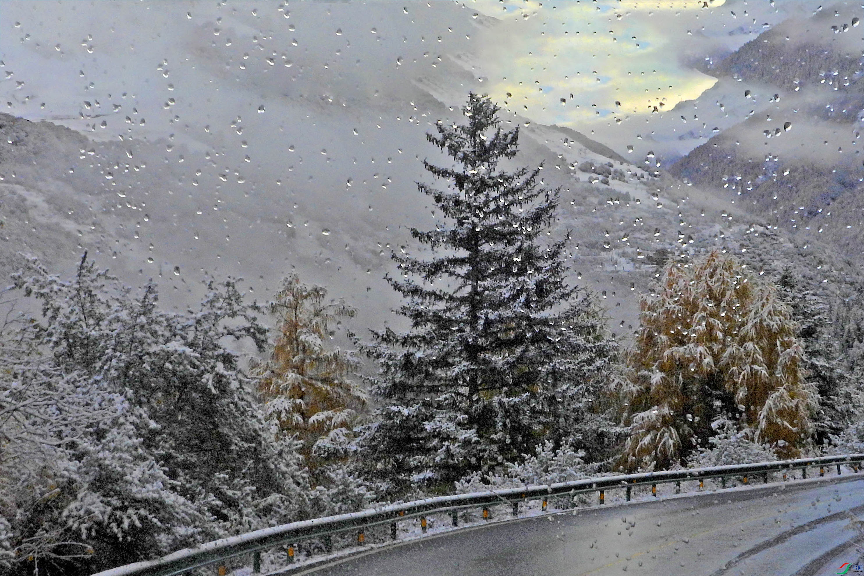 DSCN4623.JPG