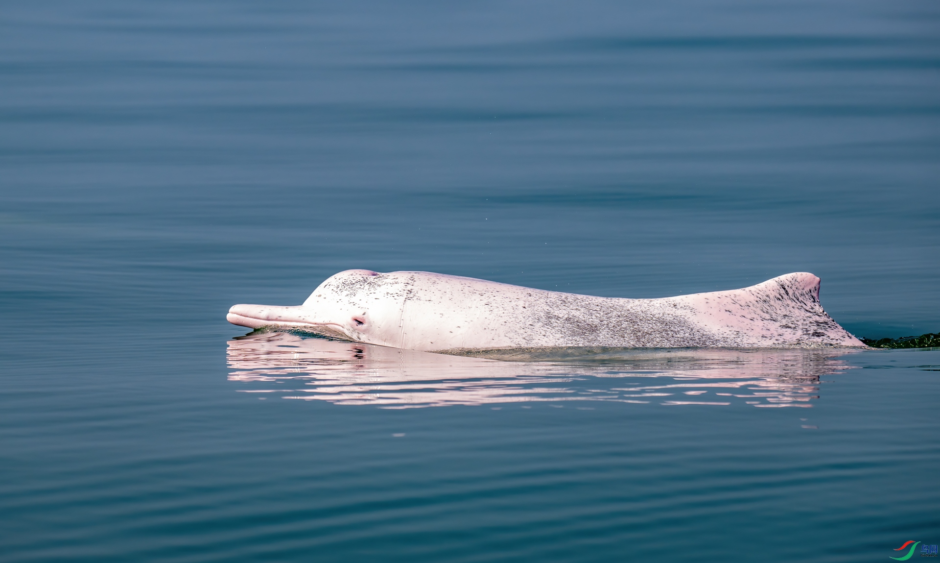 DSC_1217-1.jpg