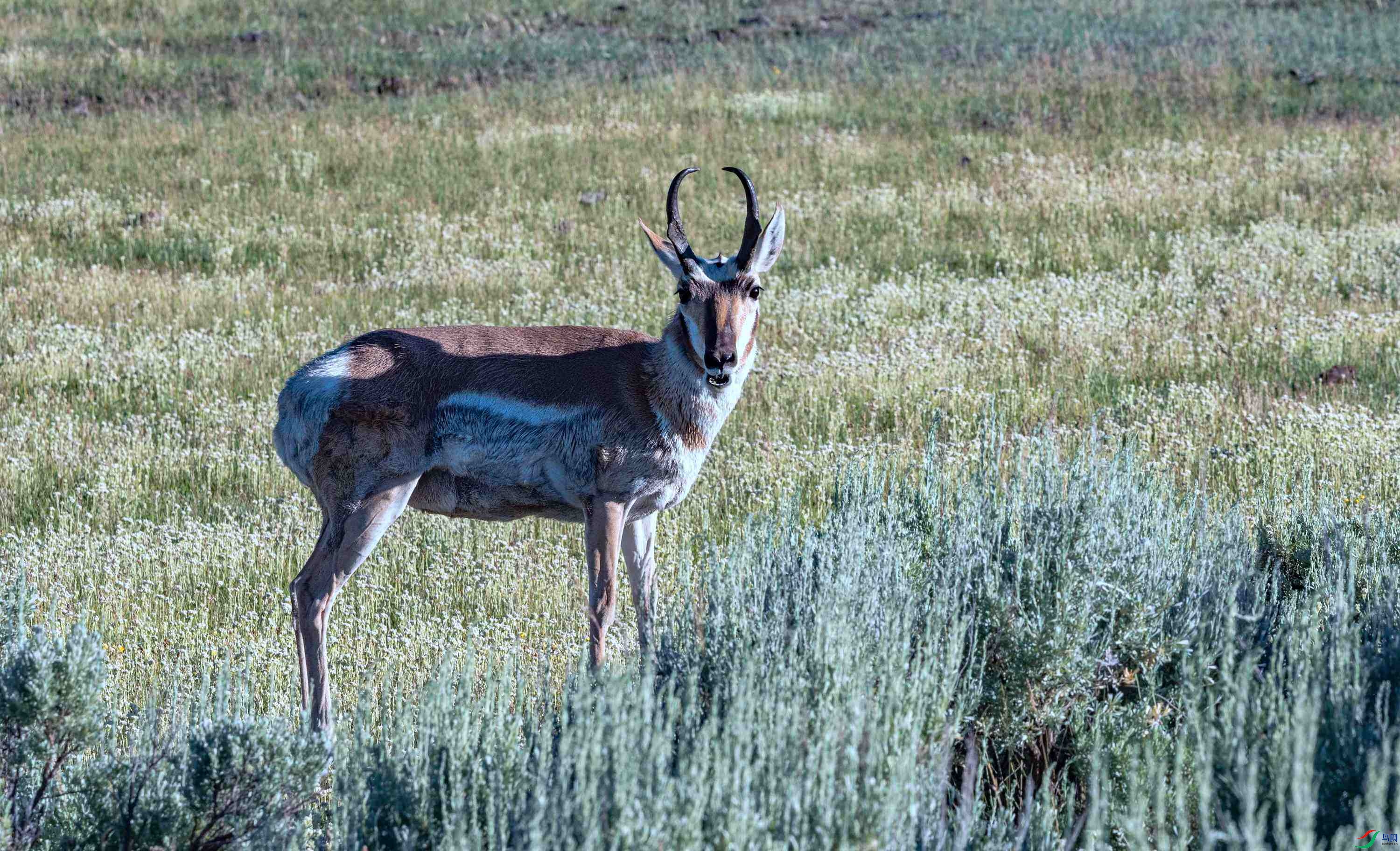 DSC_8199 ����2.jpg