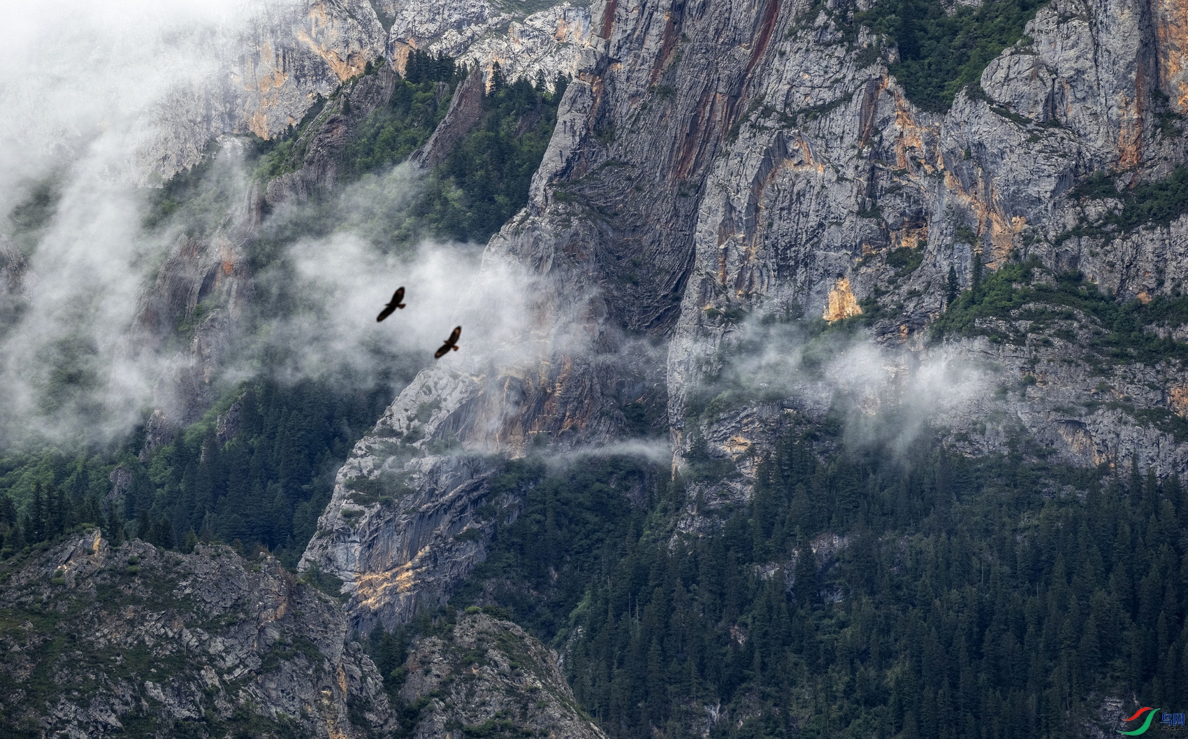 �羰������ (1) -1-1.jpg