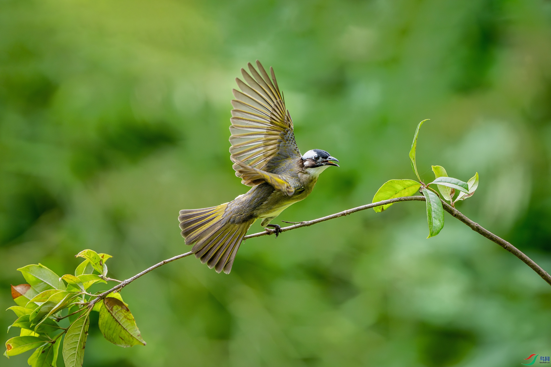 _DSC9389-����ǿ-NR ����С.jpg