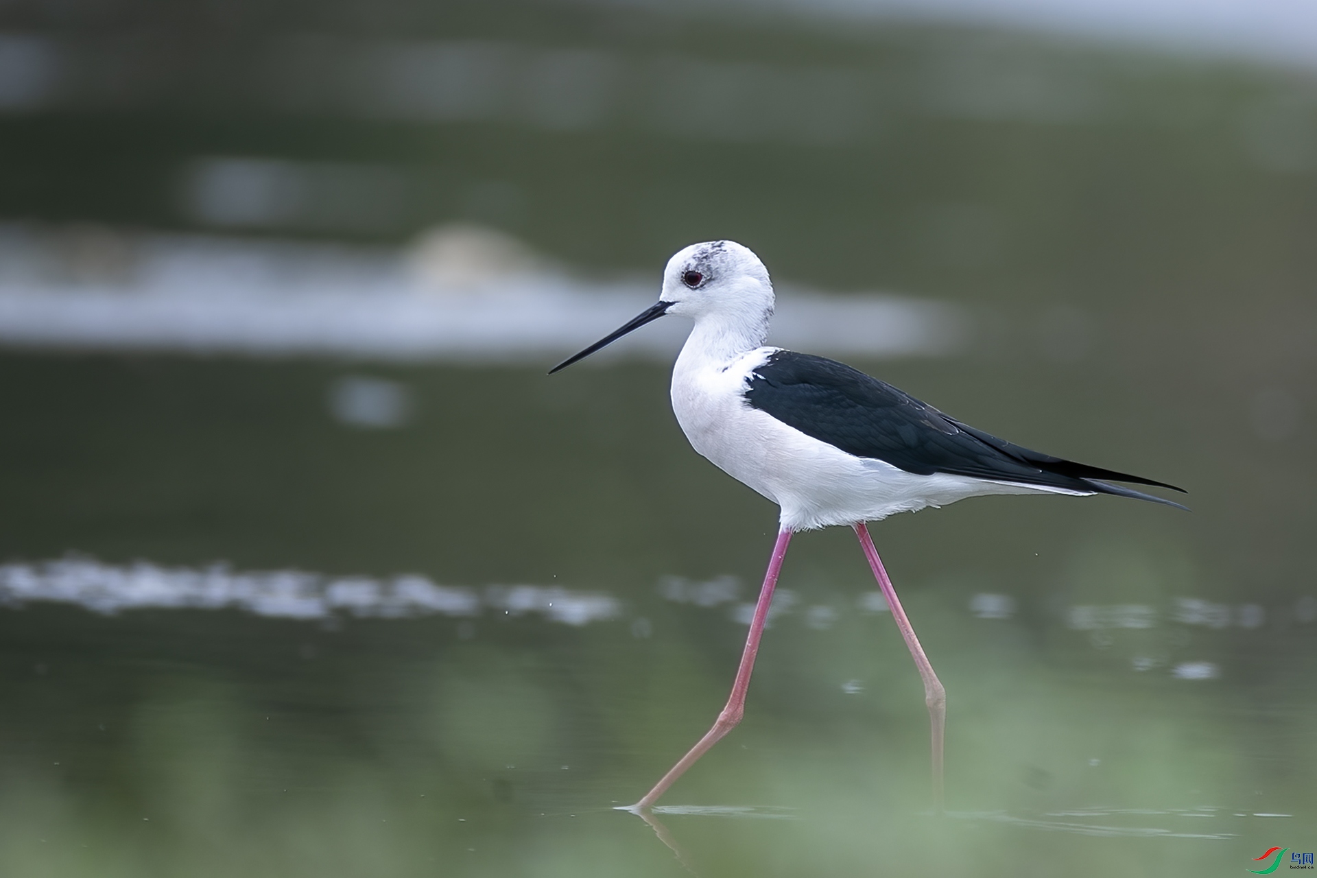 B88I0112 ����.jpg