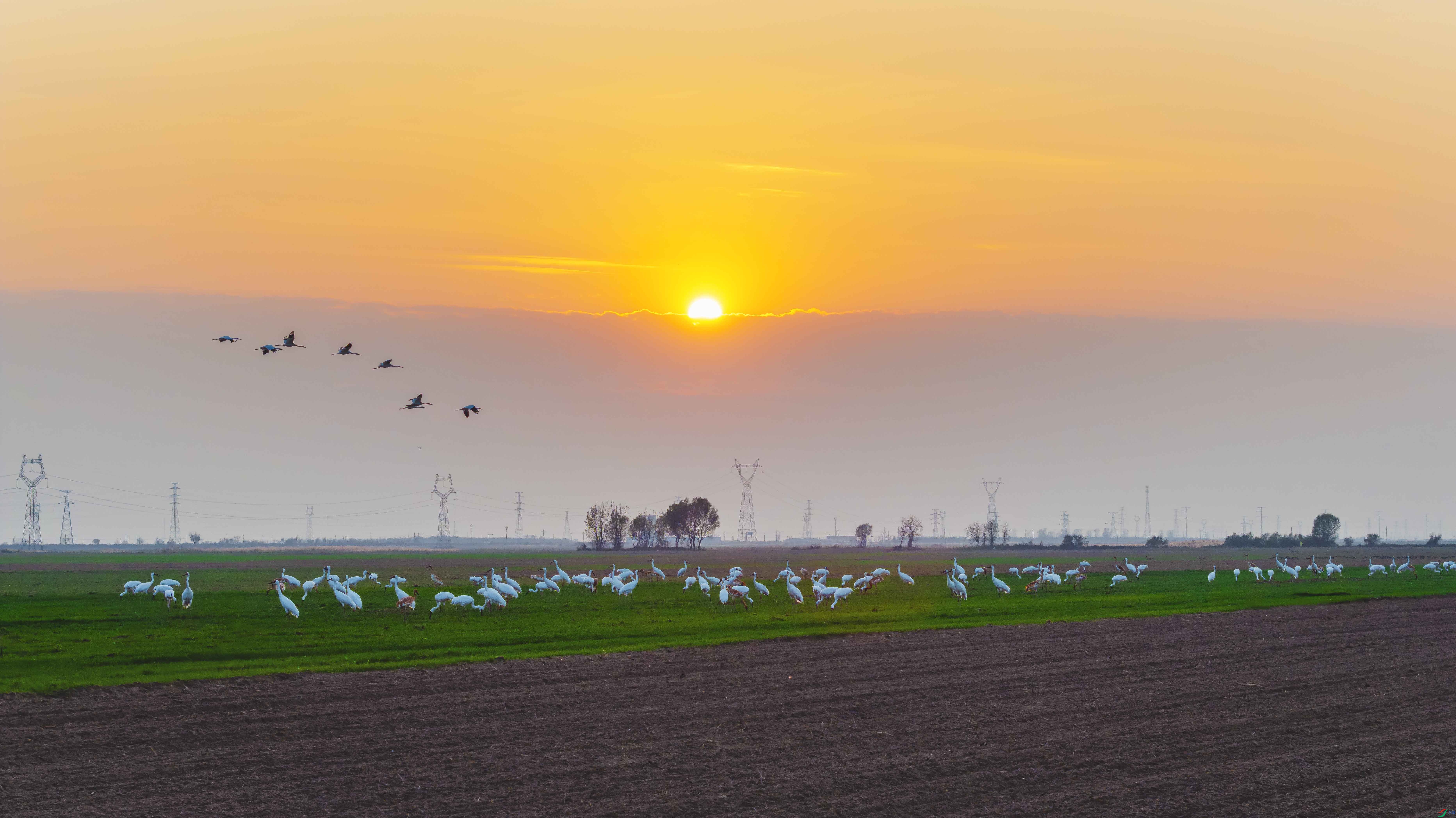 DJI0010.jpg