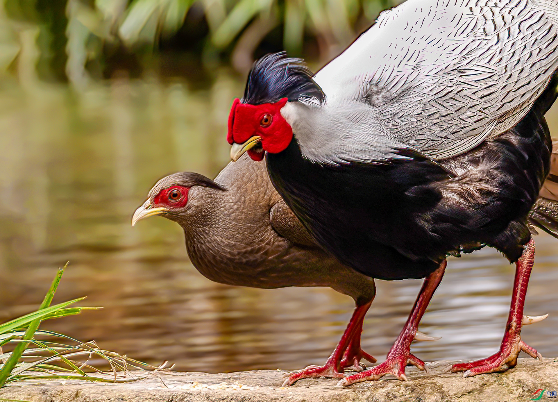 407A7638 ����-Sh----1 .jpg