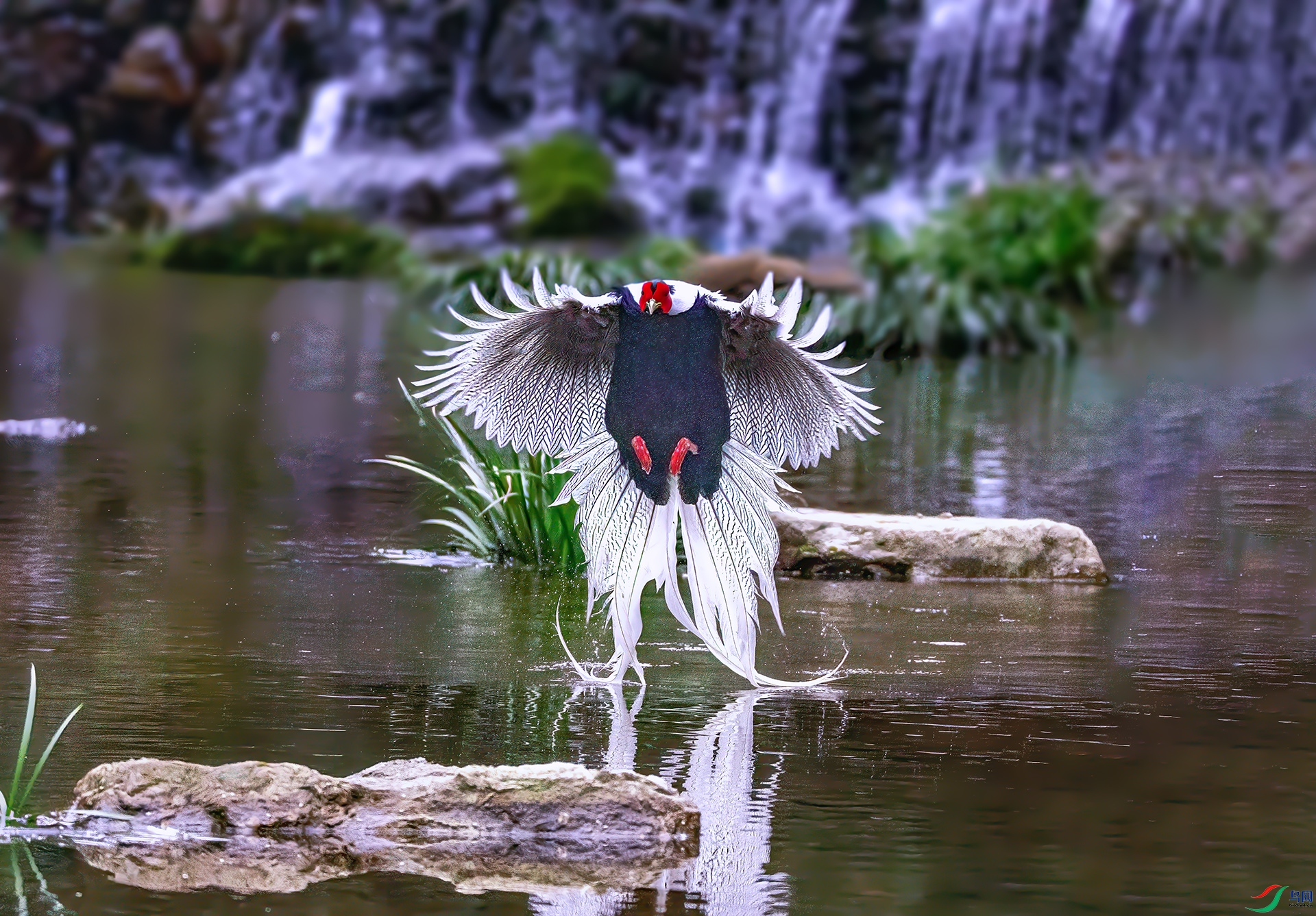 407A6101 ����-SharpenAI-motion-SharpenAI-focus ����  .jpg
