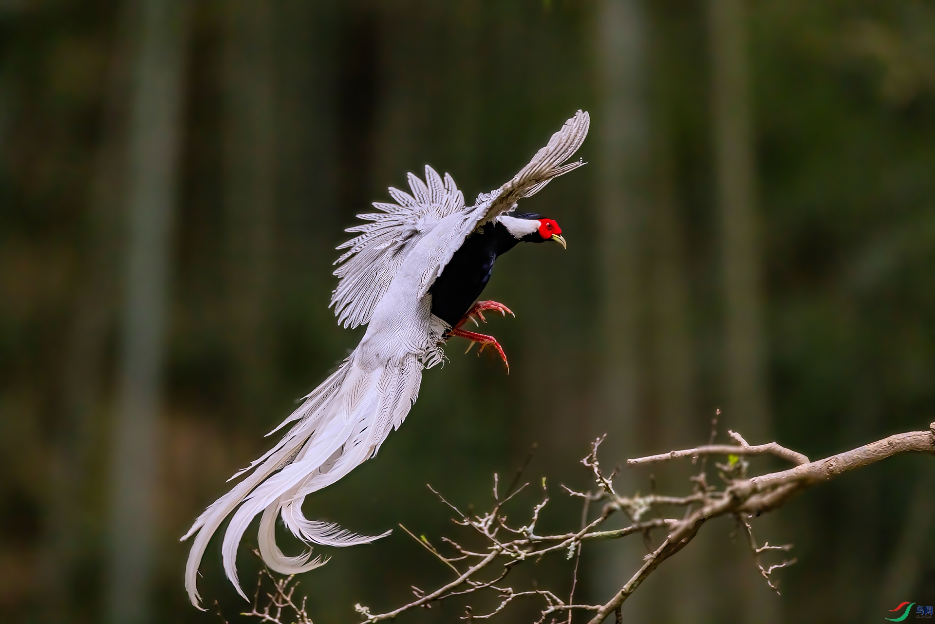 407A5536 ����-Sh----1 .jpg